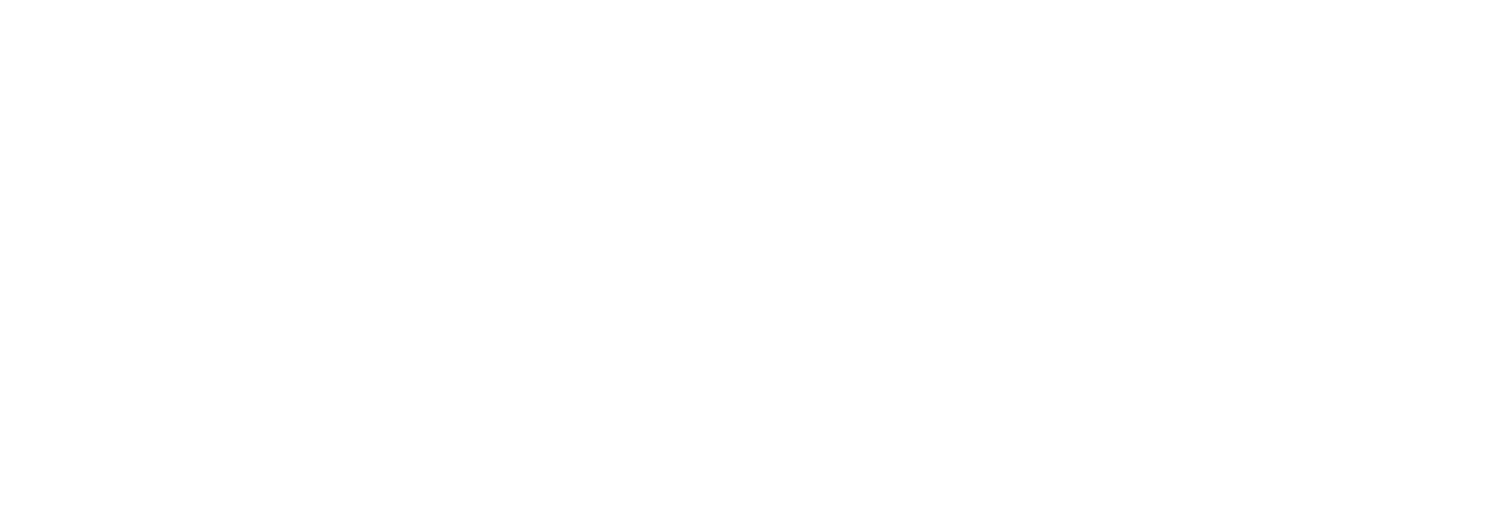 Tycho Store