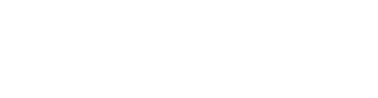 Tycho Store