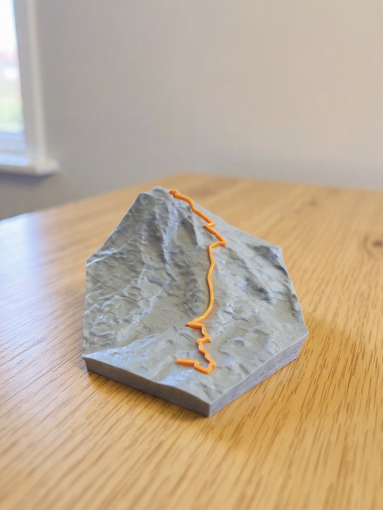 Mount Rainier 3D Terrain Print