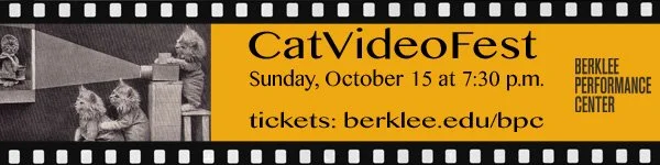 catvideofest600by150.jpg