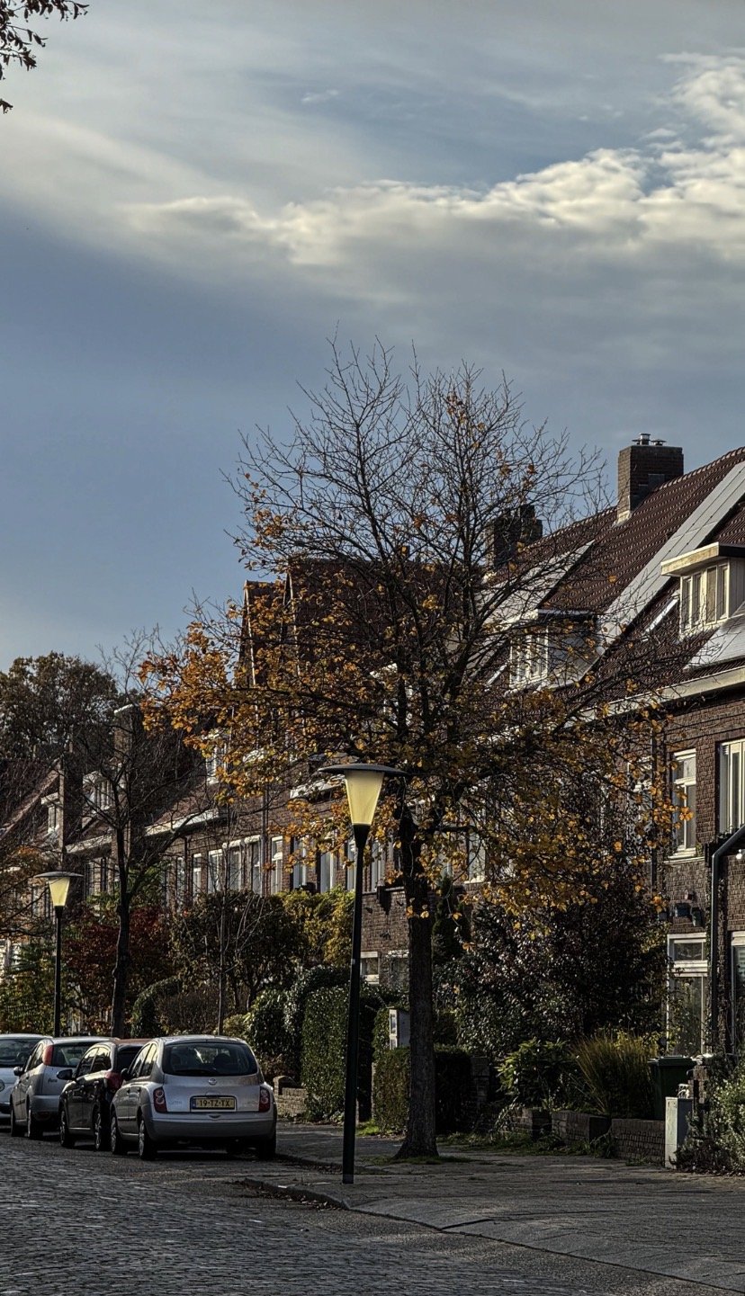 Rua com casas de arquitetura tradicional, árvores com folhas de outono, postes de iluminação e carros estacionados.