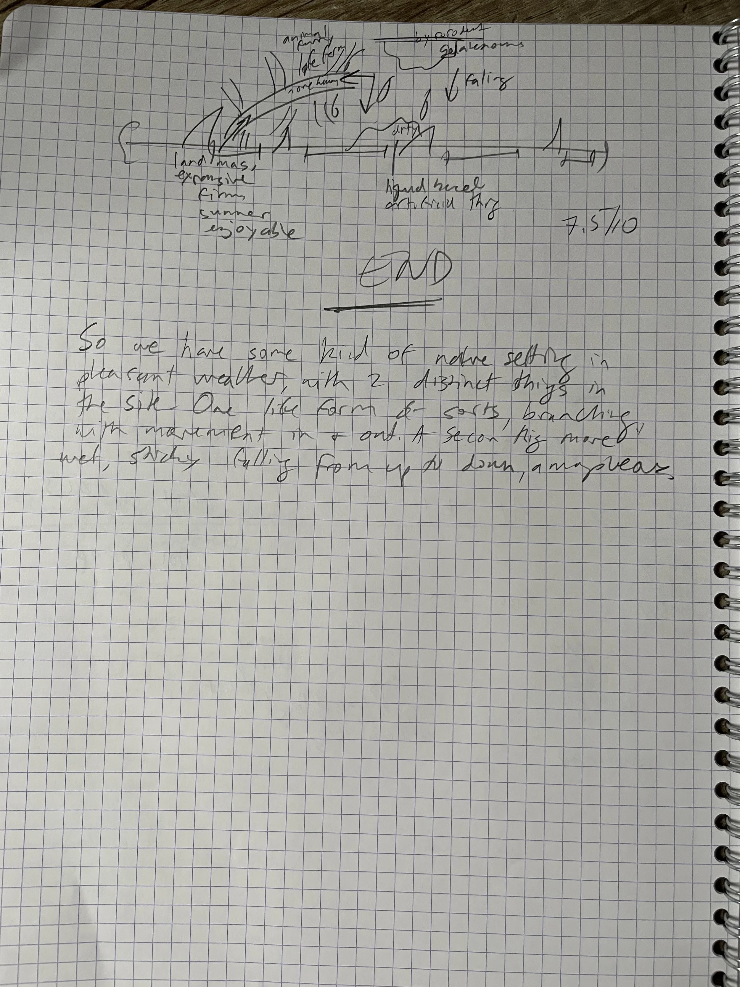 A final sketch, putting all the three sessions together in a composite sketch and final description. Notice, even still being pretty accurate, I give the session a 7.5/10. I was always VERY harsh, most sessions getting a score of 3 or 4 (even when th