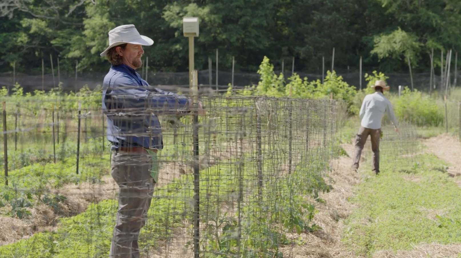 Farmer Education / Georgia Organics