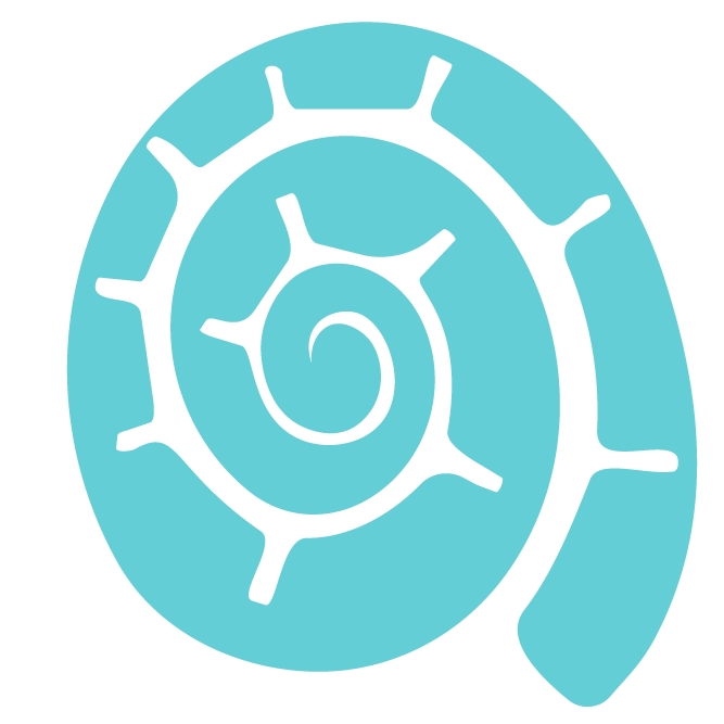 A spiral-shaped shell in aqua, the colour of the seas of Torres Strait.