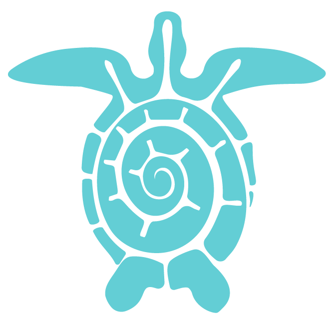 Illustration of a stylized blue turtle with a spiral shell and outward-extending limbs and head.