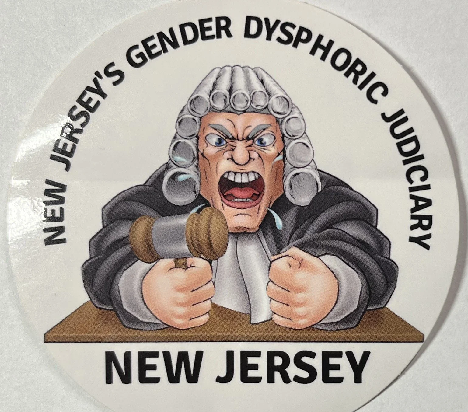NEW JERSEY GENDER DYSPHORIC JUDICIARY STICKER