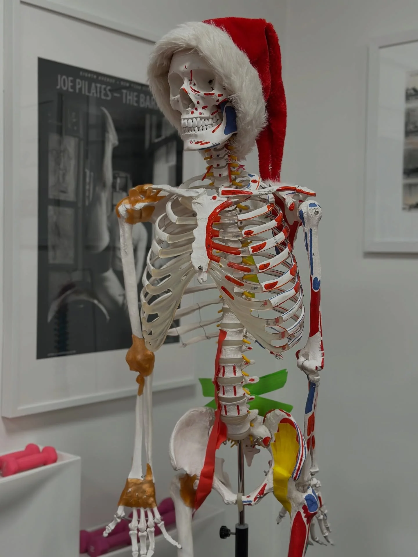 A full house at my iliopsoas workshop yesterday ❤️💚

So grateful for everyone who showed up, especially during the busy holiday season, to be curious and explore with me.

We dove into how the iliopsoas supports our everyday movement, embodied this 