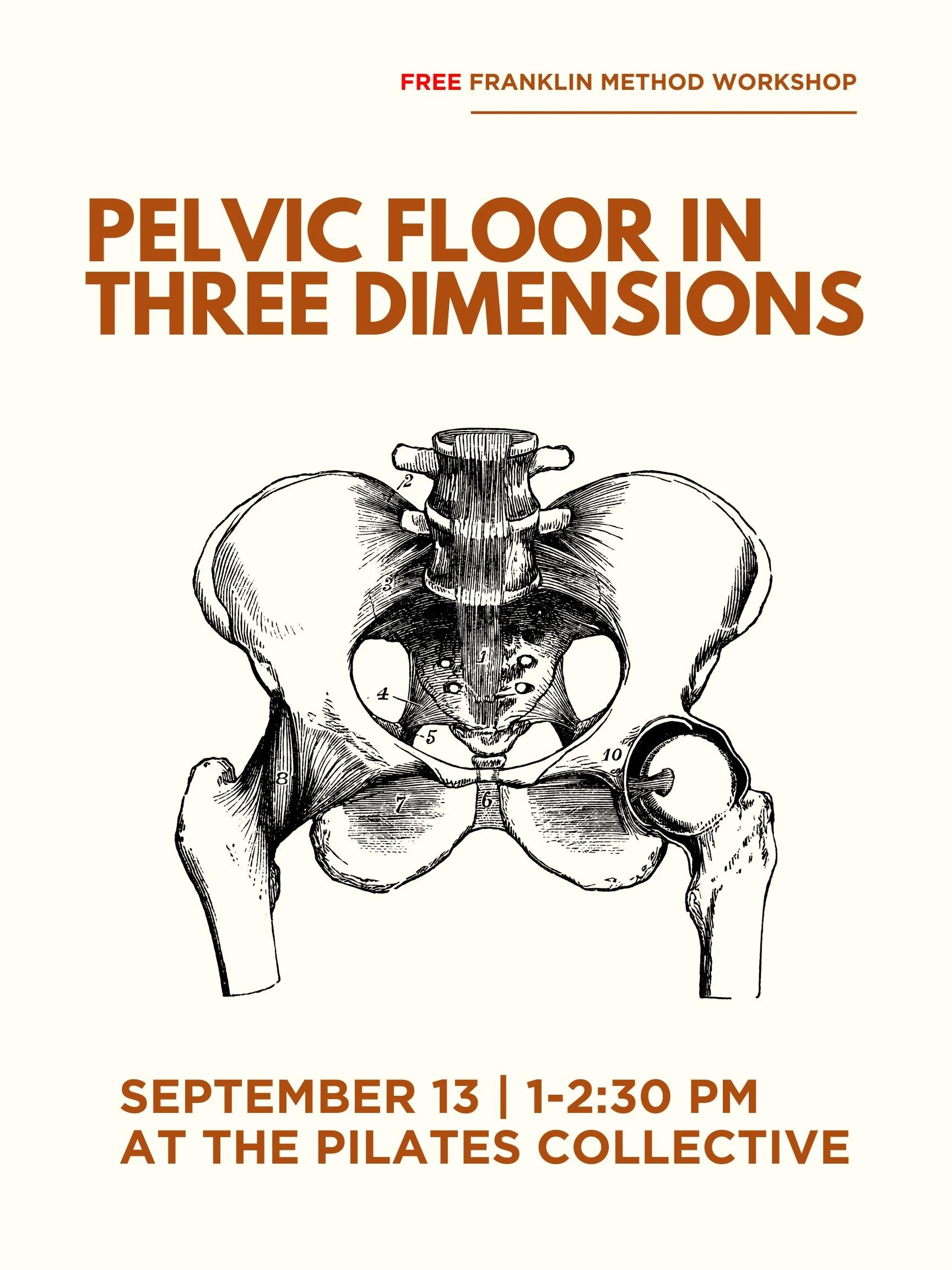 Franklin Method Pelvic Floor Workshop