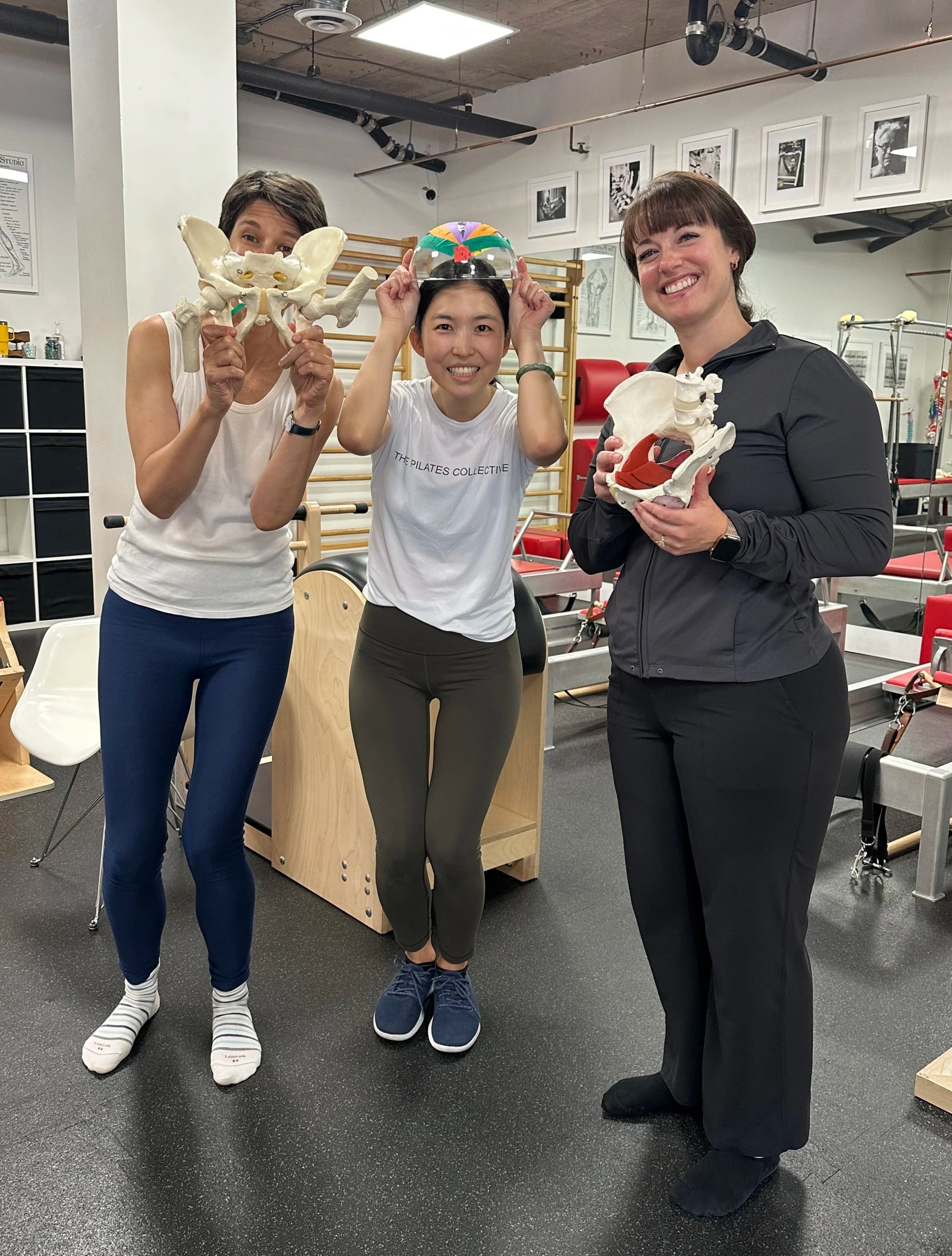 Franklin Method Pelvis Workshop