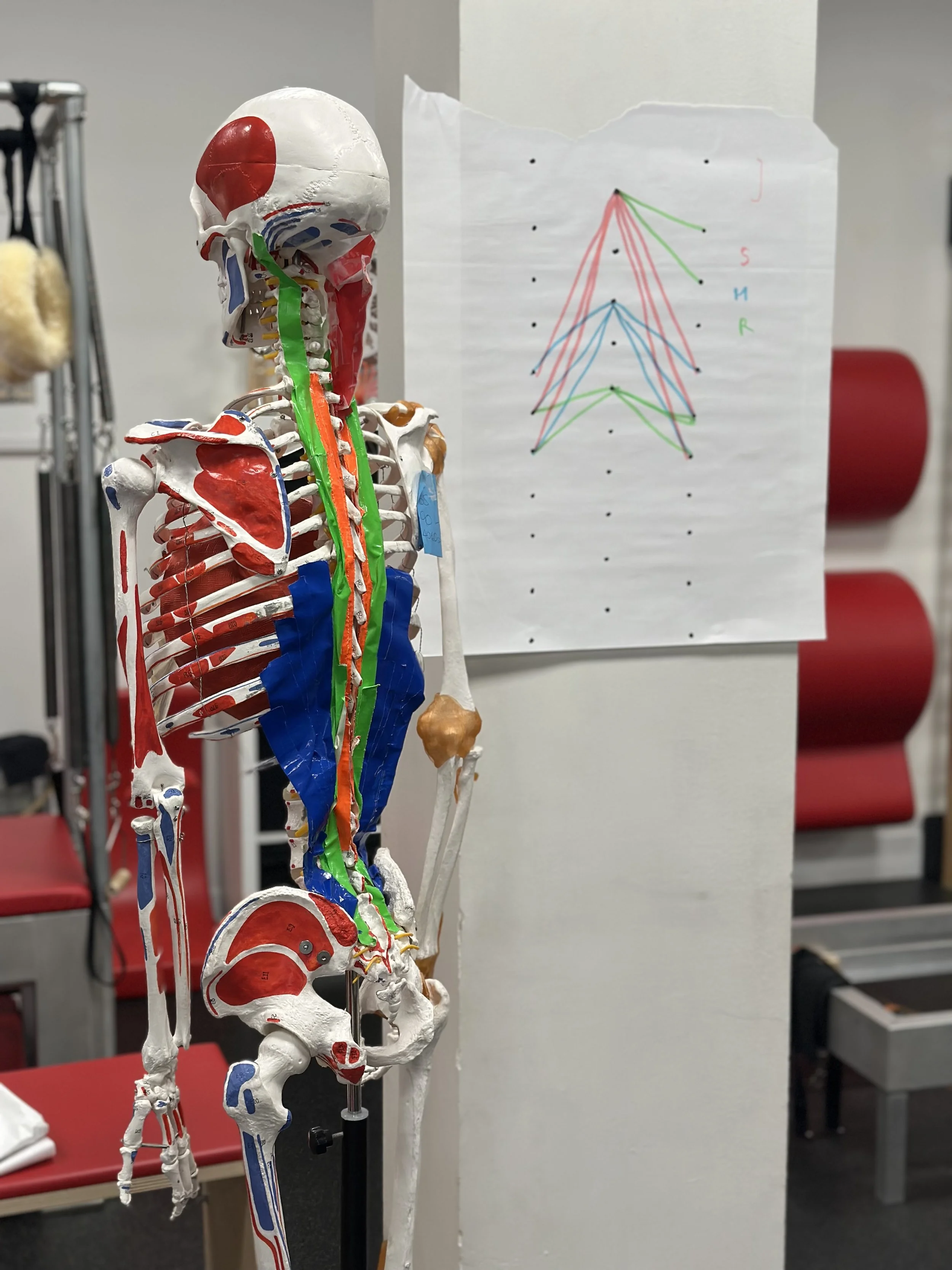 Franklin Method Healthy Spine Workshop