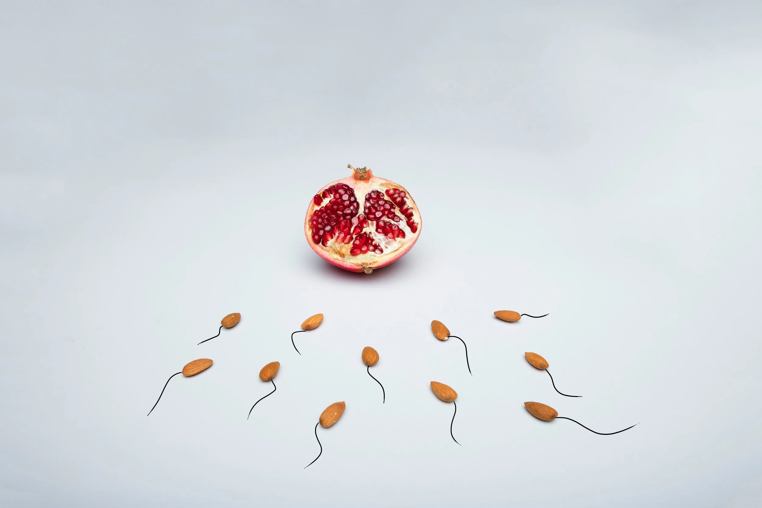 Fortify Your Fertility: more ways that acupuncture may assist during an IVF cycle