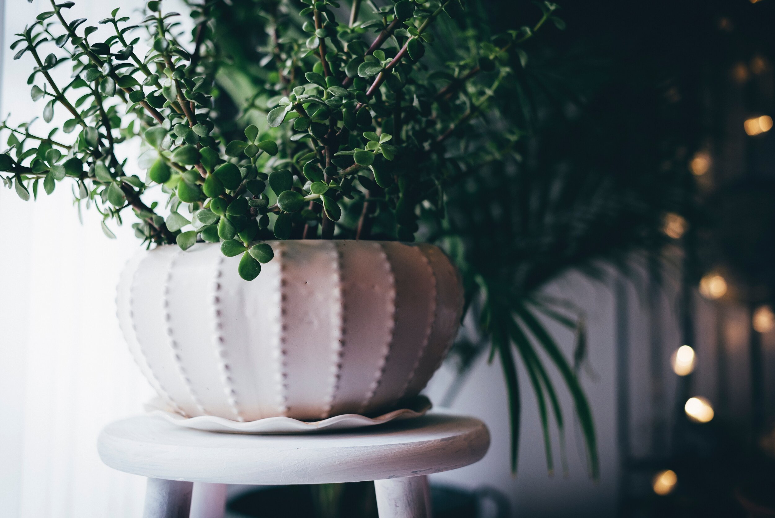 7 days of self care: day 7