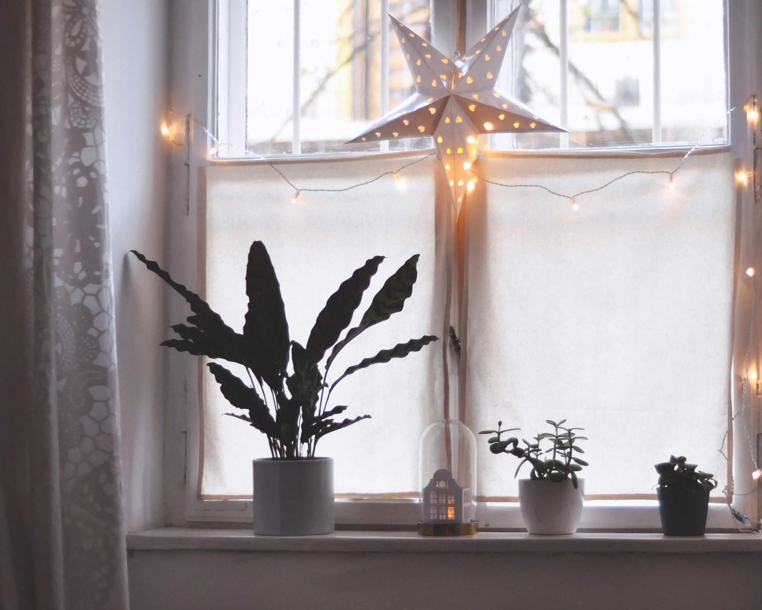 7 days of self care: day 5
