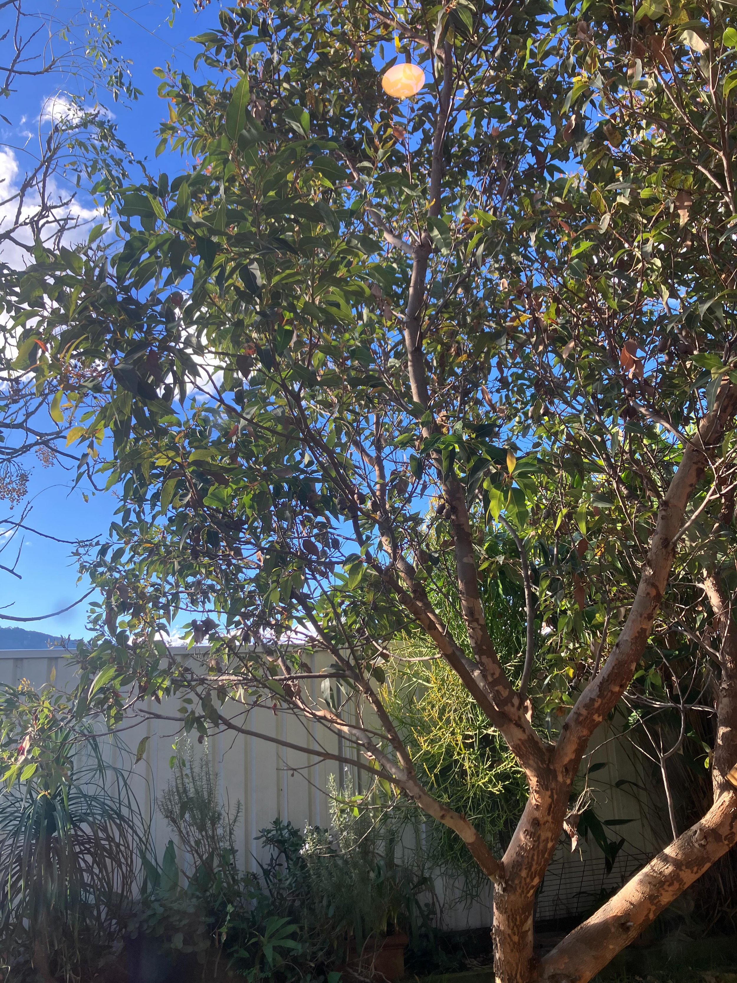I&rsquo;m going to be honest.

The last few weeks have been really hard. Depressed, flat, struggling. The world feeling like too much and my brain not helping.

But then I look out the window and the sun is doing something ridiculous and beautiful an