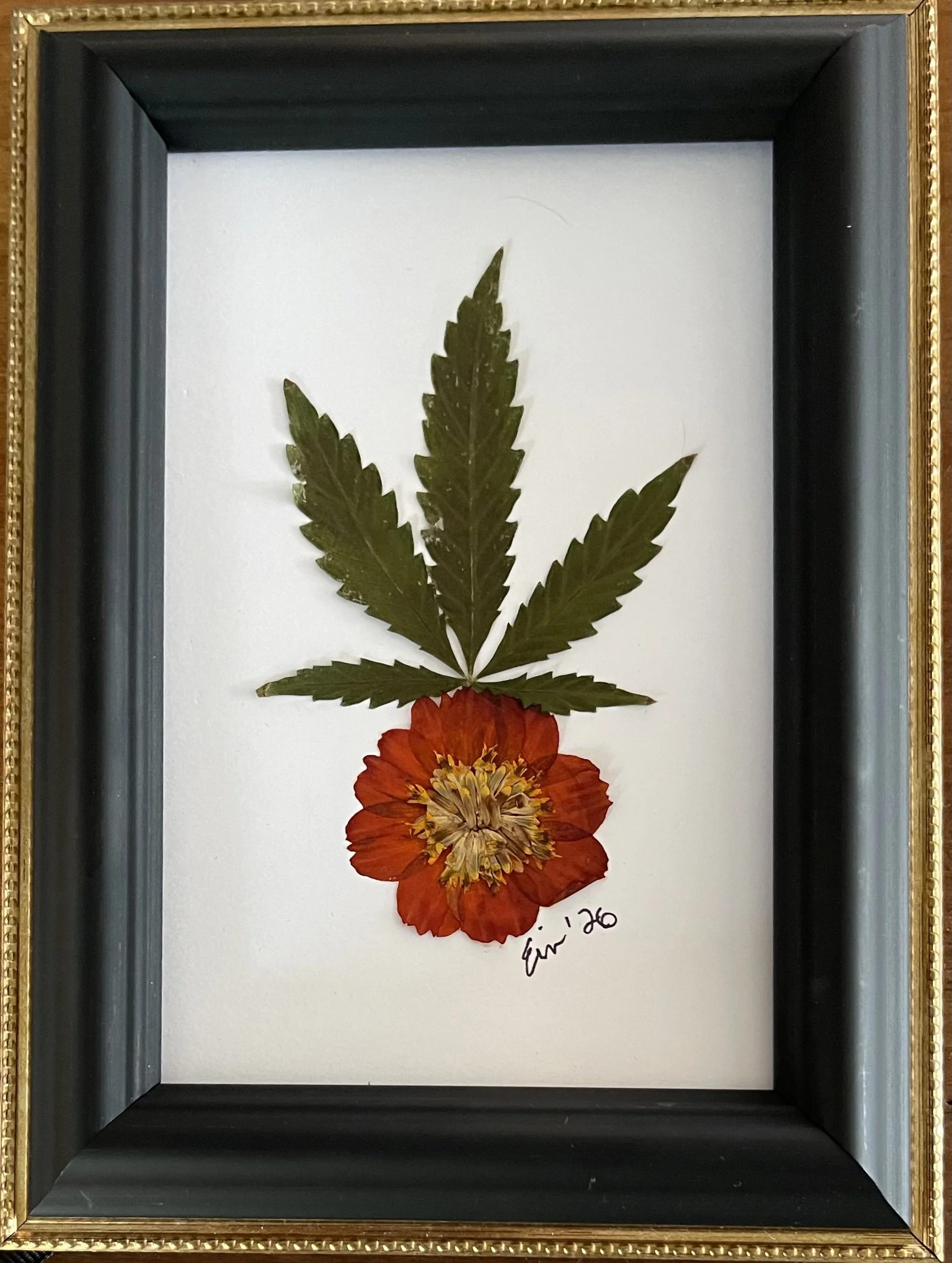 cannabis with Marigold.jpeg