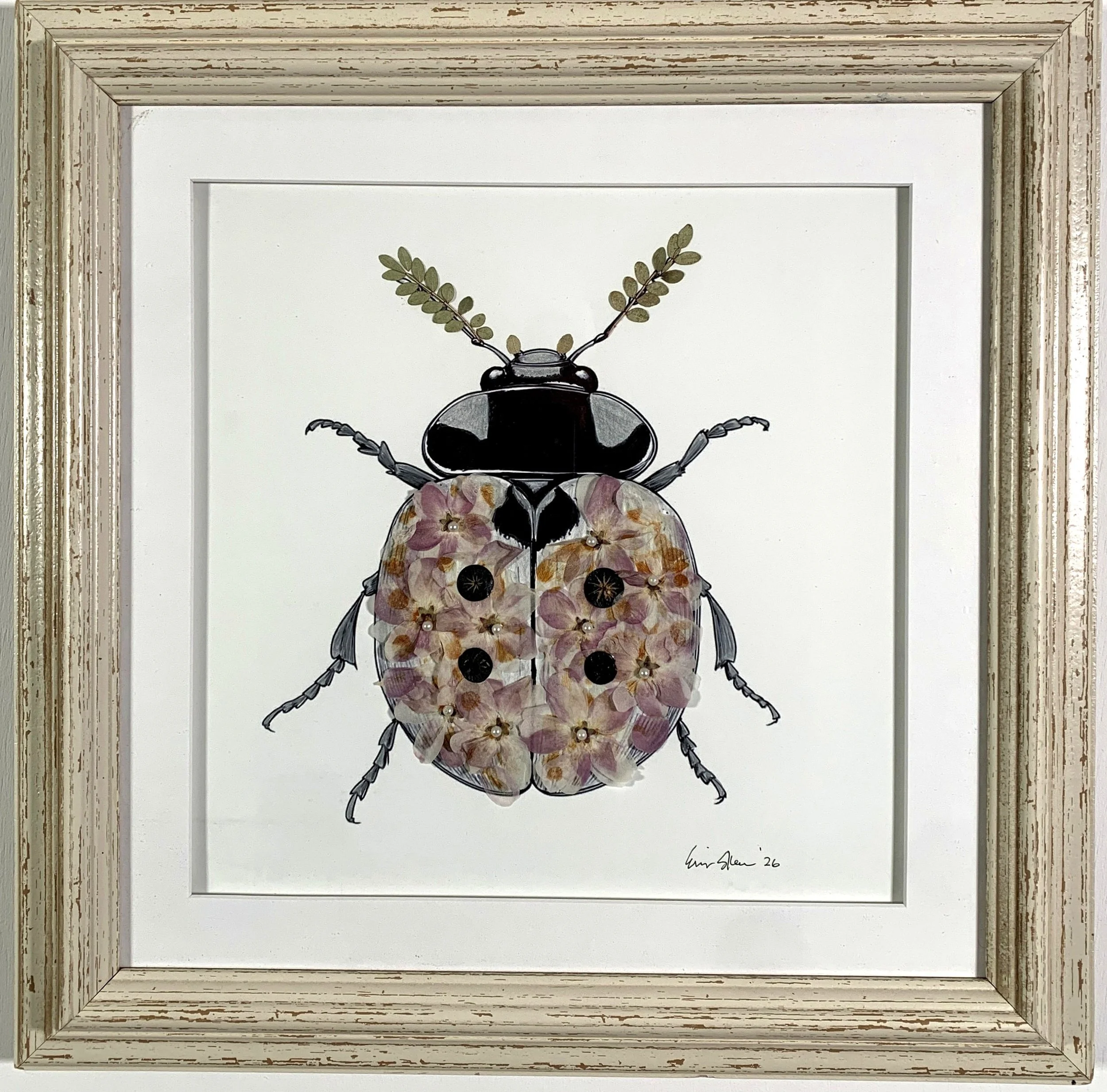 Lady Bug
