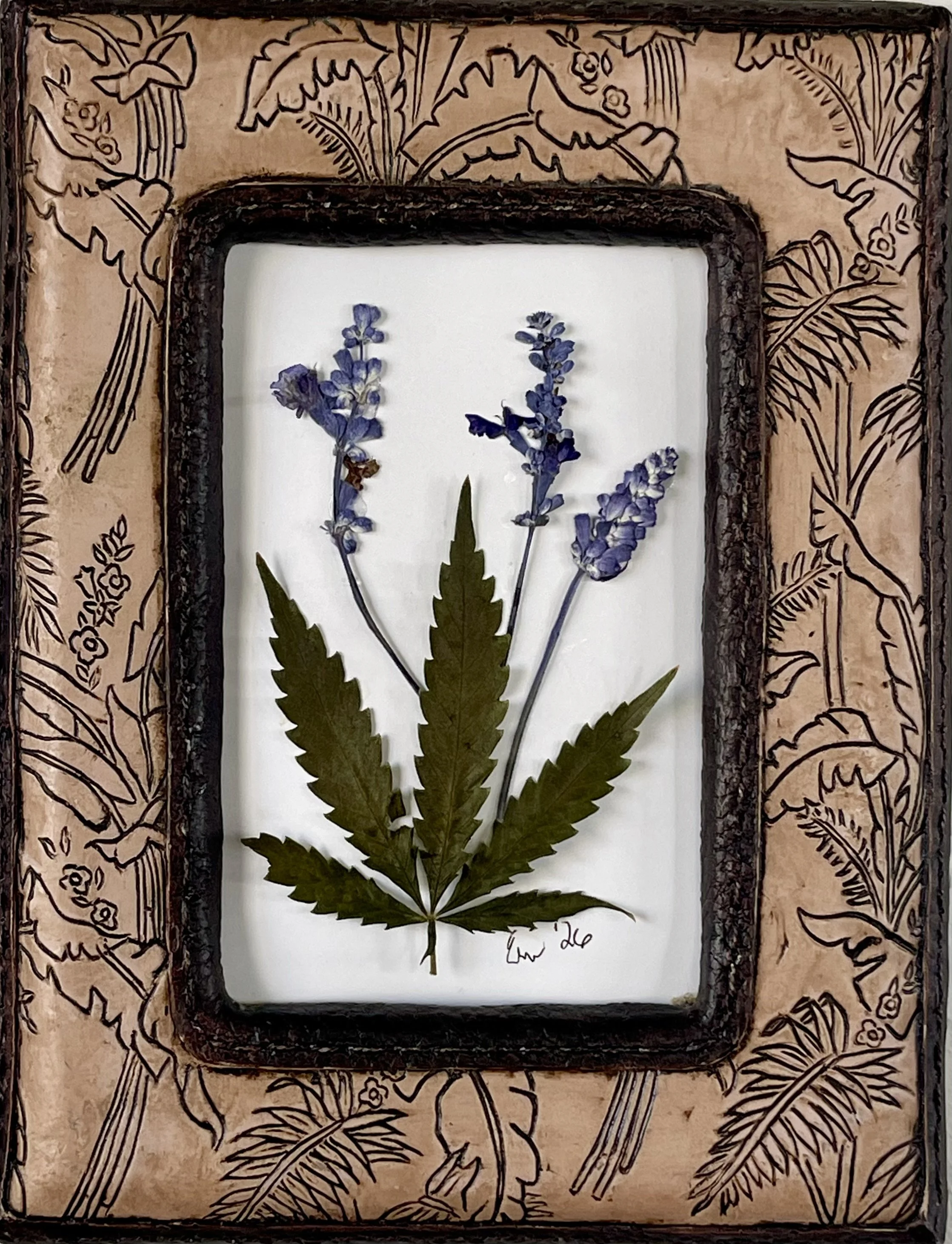 cannabis lavendar2.jpeg