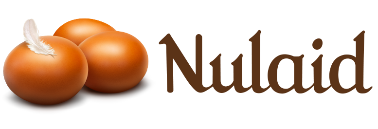 Three brown eggs with a small white feather on one, next to the words "Best Eggs" in brown font.