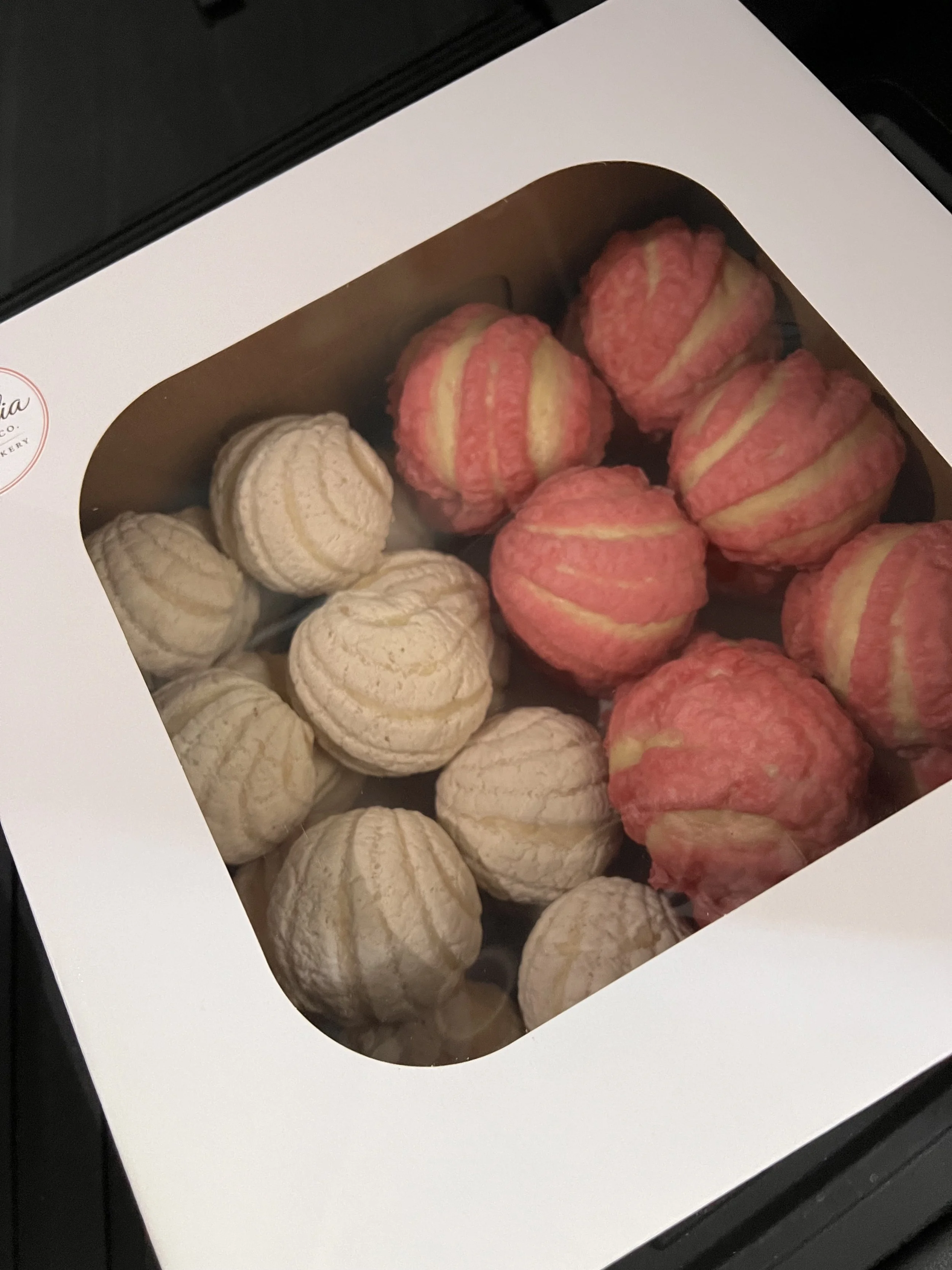 Mini Conchas 