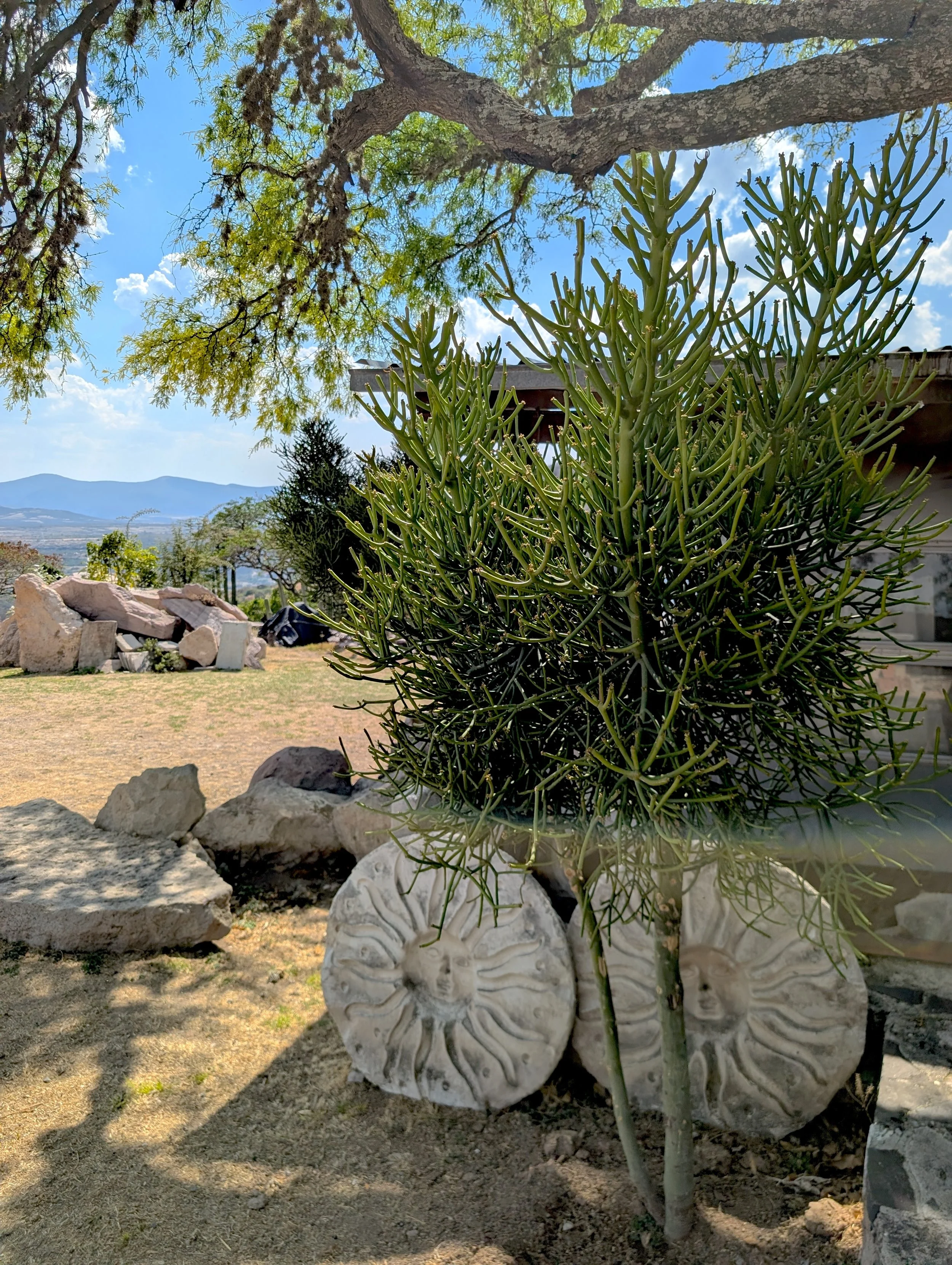 Eco Parque La Joyita San Miguel de Allende Outdoors.jpg
