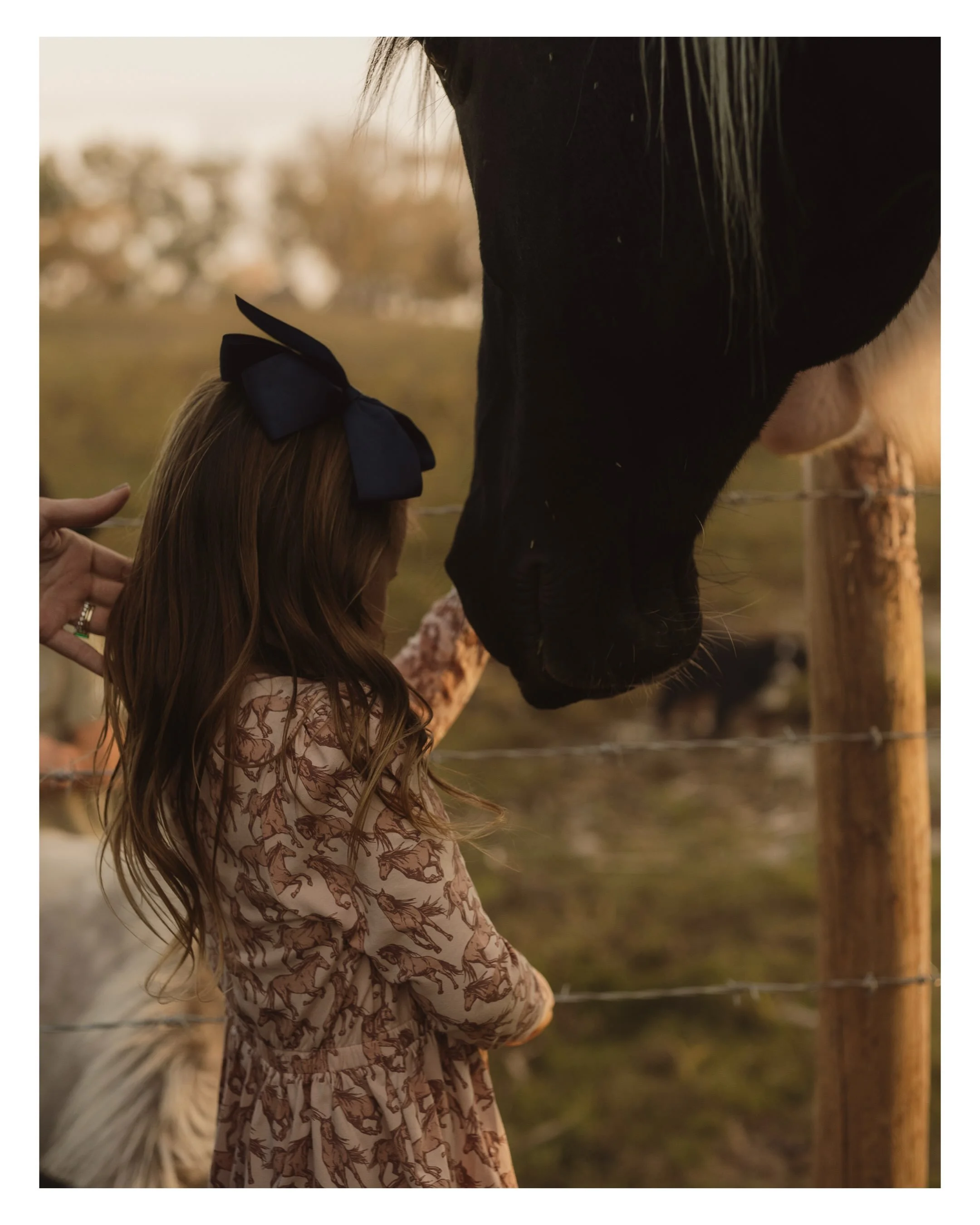 There was something magical about this photoshoot - just a family being completely themselves, running around the place they get to call home. 
The kind of night that feels like a childhood memory while you are still living it. ✨🤎