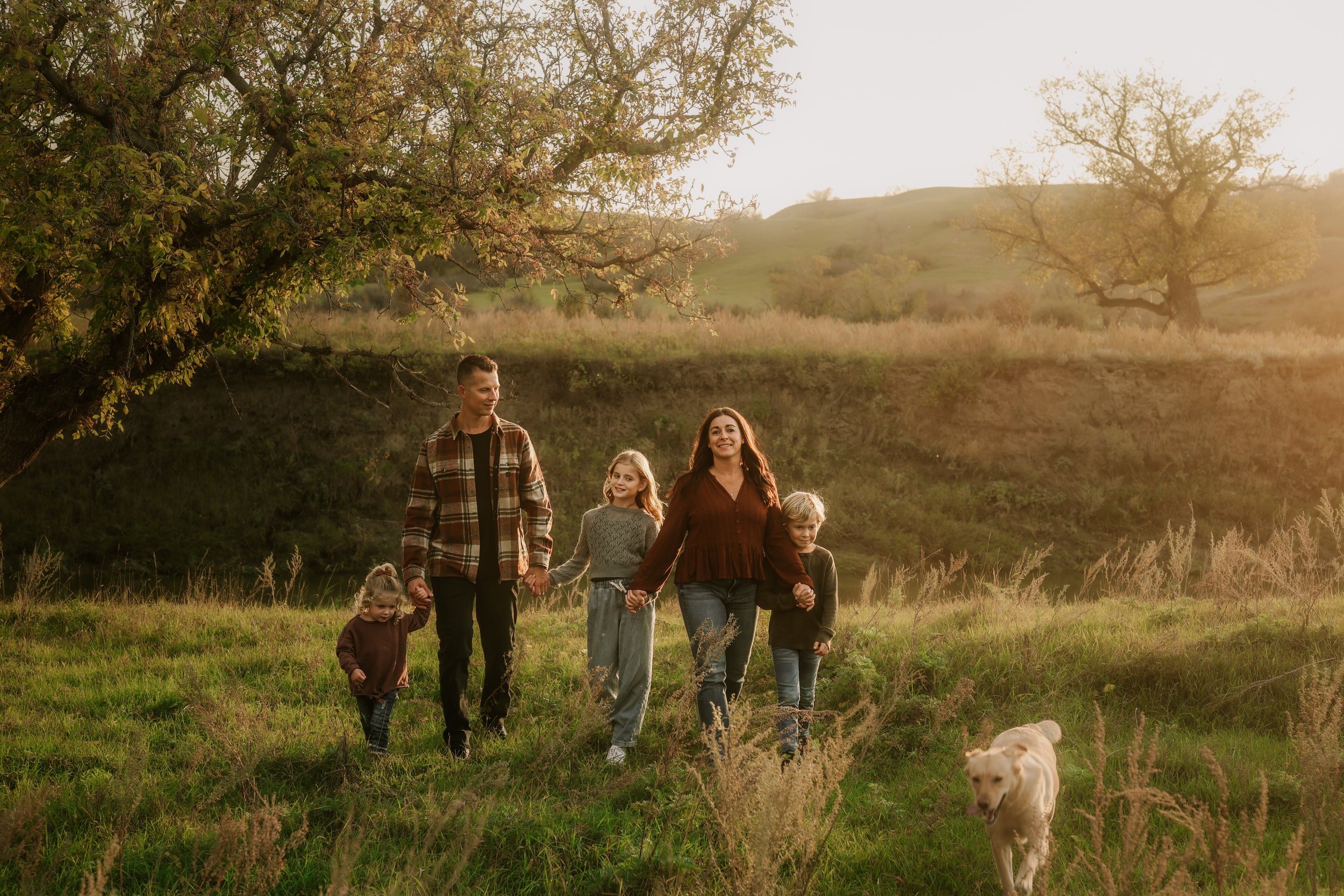 A family of five walking in a grassy field with two dogs, holding hands, under large trees during sunset.