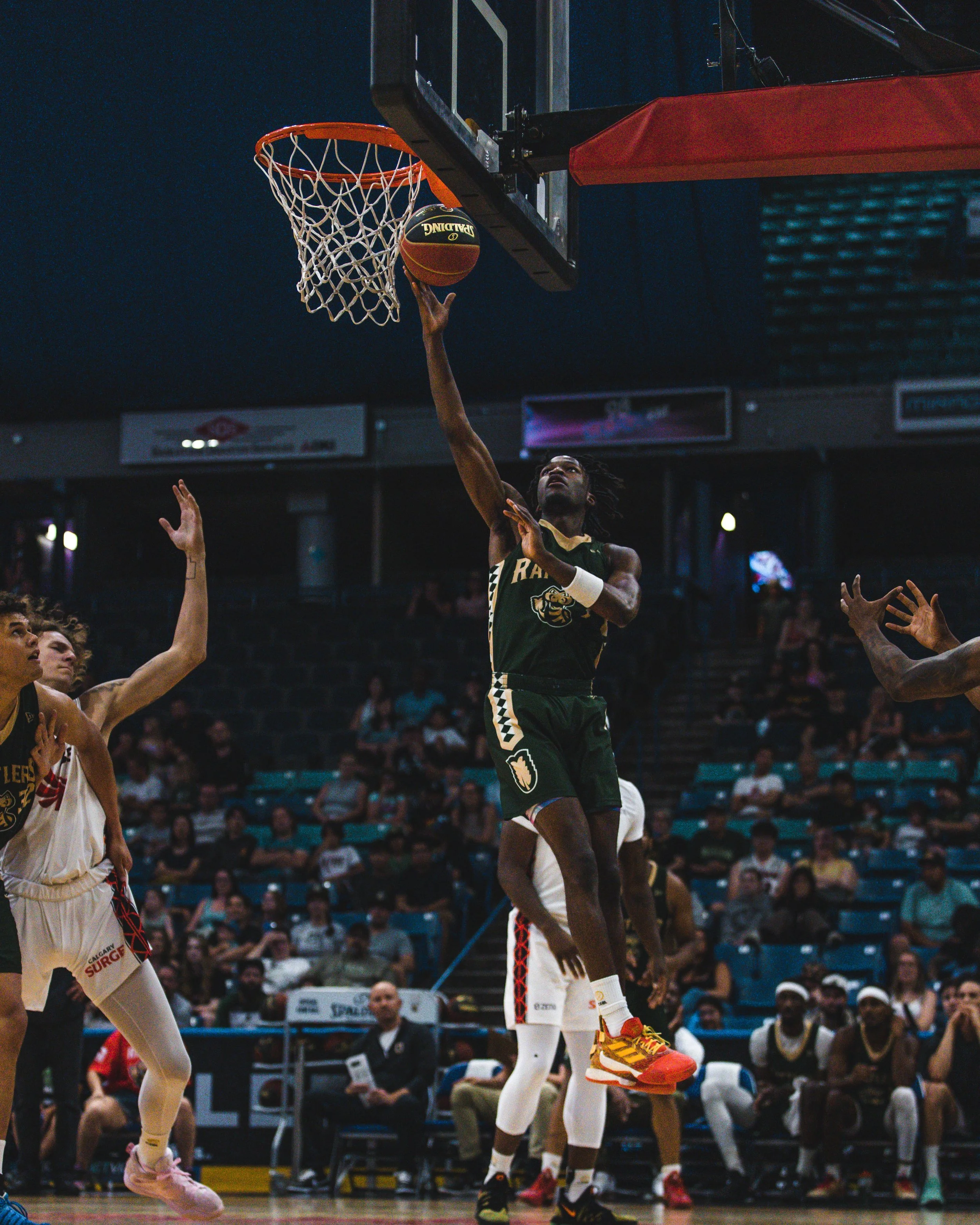 Basketball player in a green Rattlers uniform jumping to make a shot at the hoop during a game with spectators in the background.