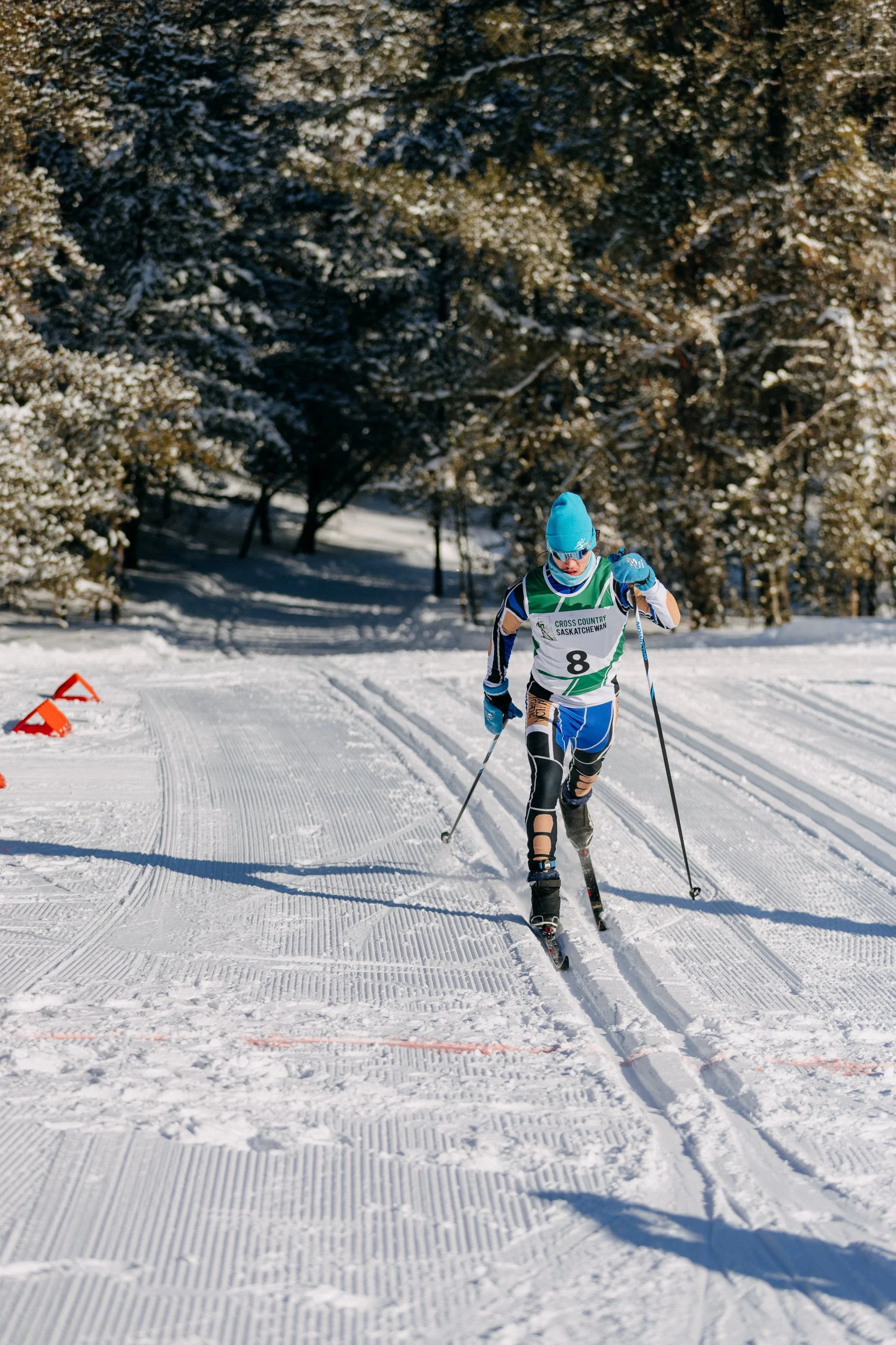 A cross-country skier wearing a blue beanie, sunglasses, a racing bib with the number 8, and ripped athletic clothing skis on a snowy trail through a winter forest during the daytime.