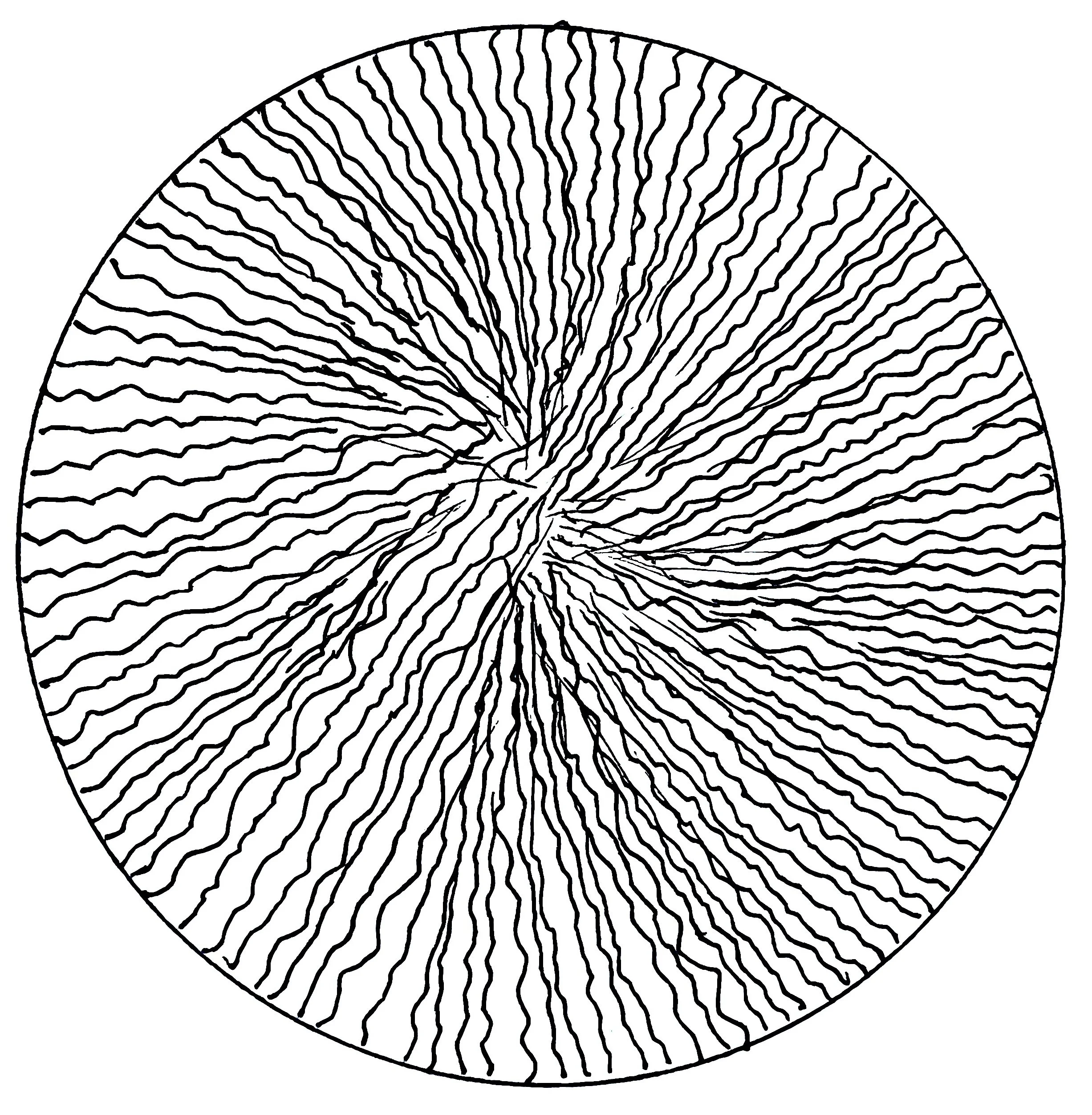 Black and white abstract circular pattern with wavy lines radiating from the center.