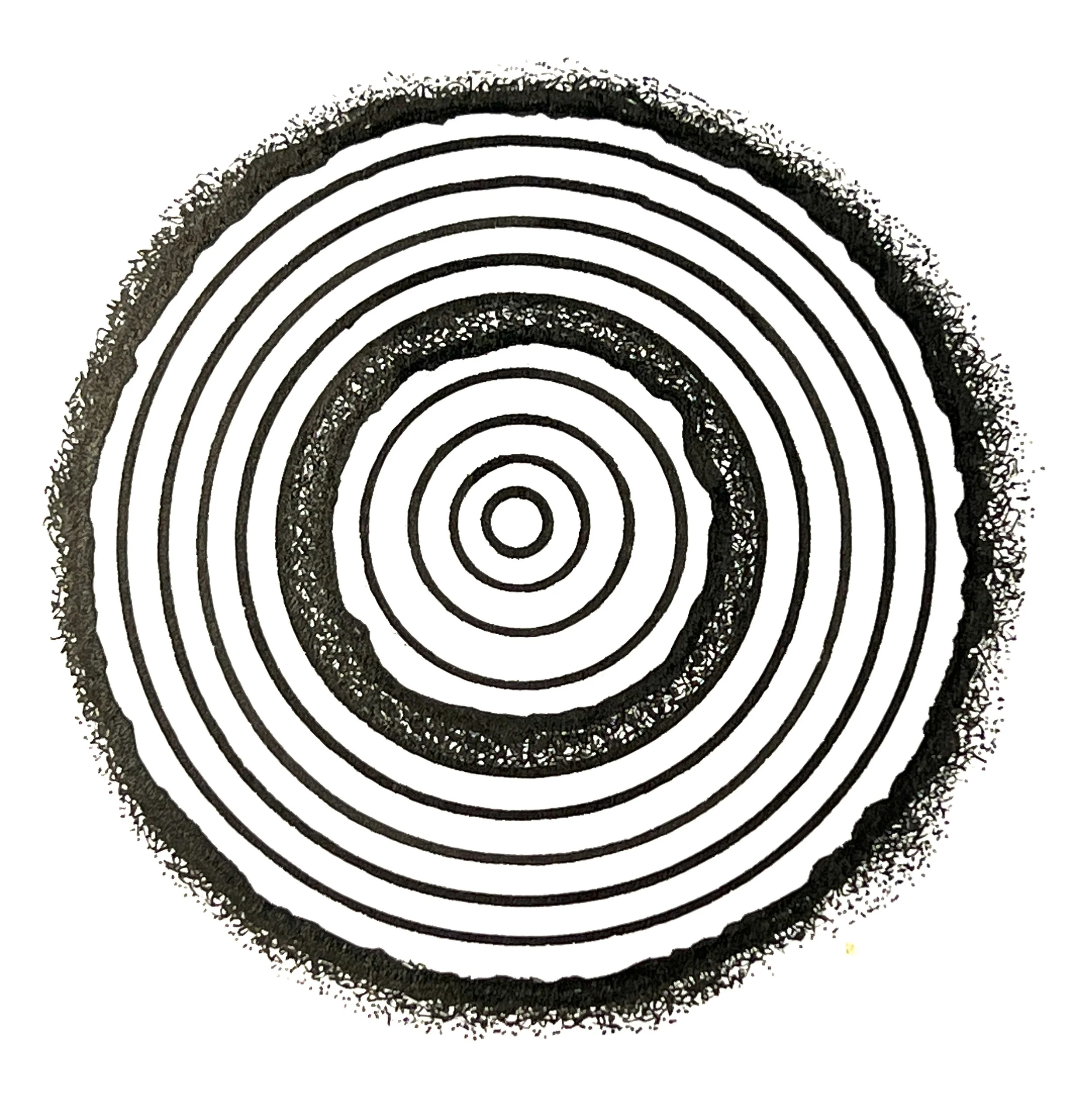 Close-up of a black coil spring with concentric circles, set against a white background.