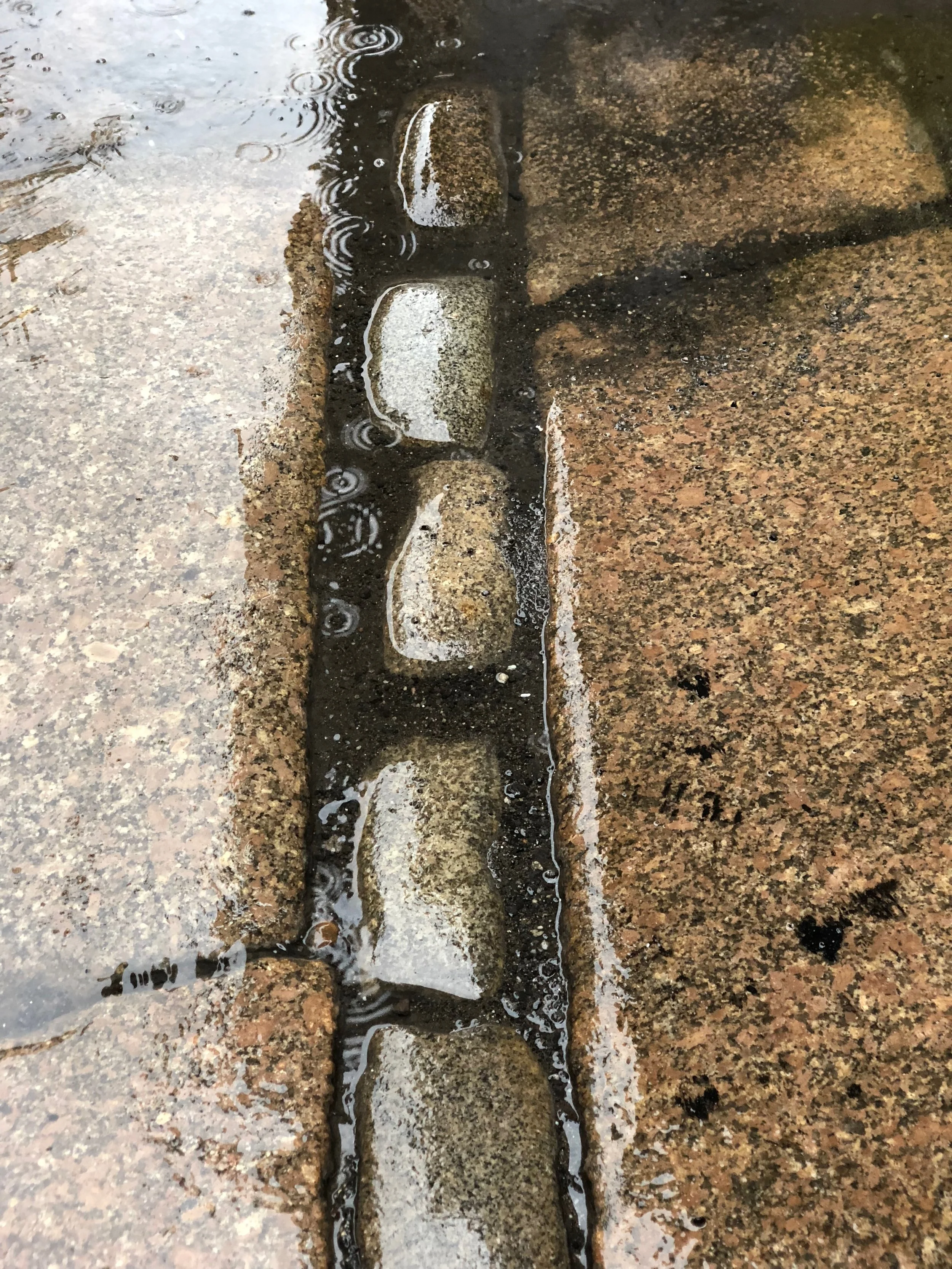 Close-up of a small stream of water flowing over stones and a concrete curb on a sidewalk during rain.
