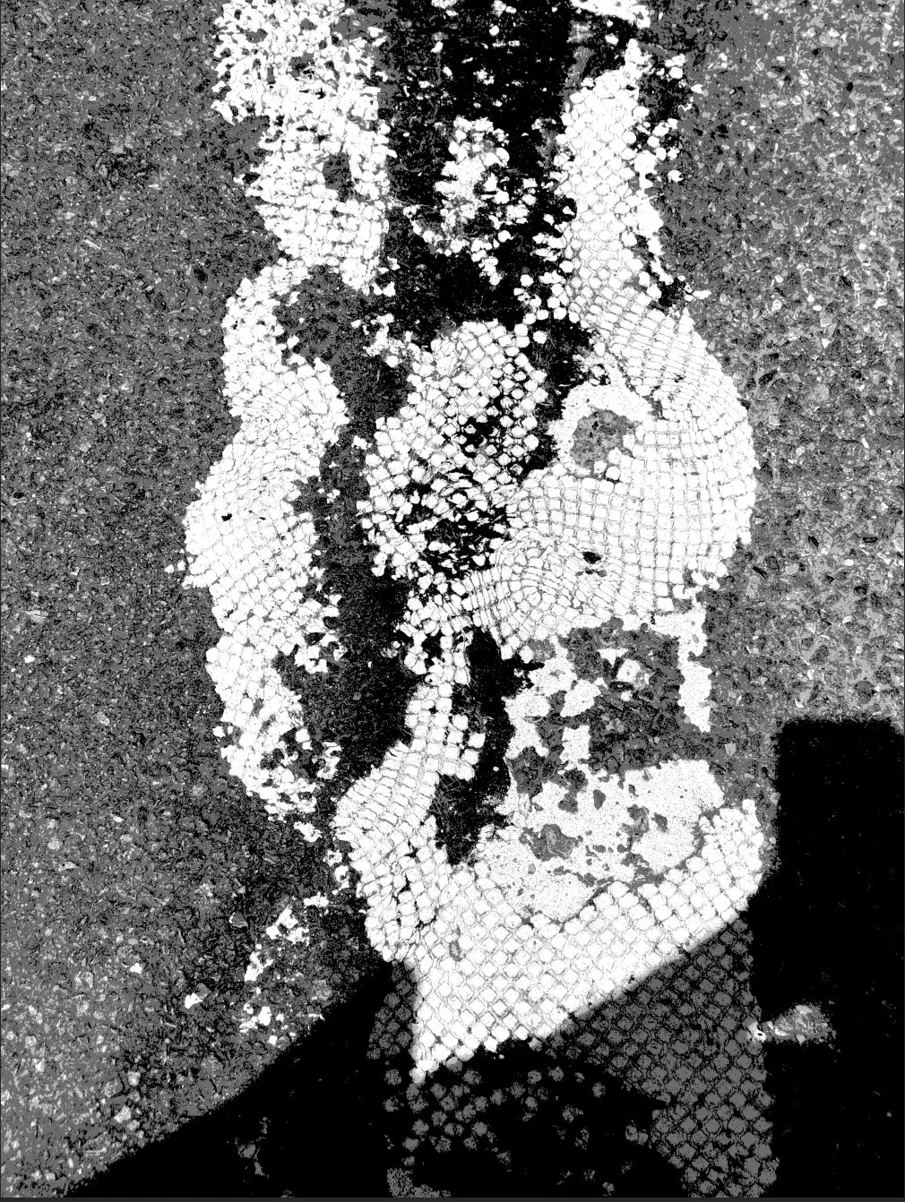 Black and white mosaic mural depicts a face with curly hair and a high collar, set against a dark background.