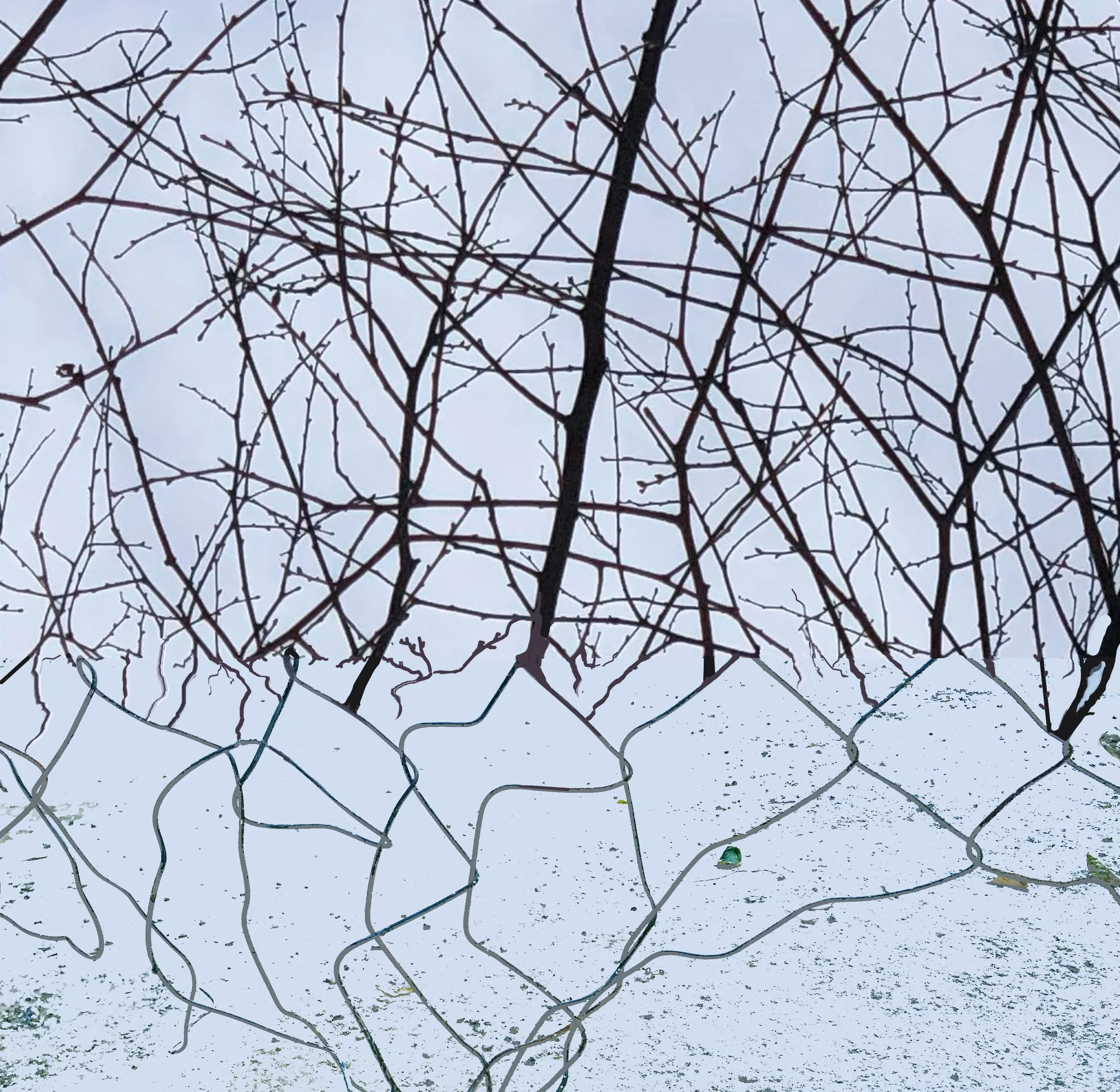 Bare tree branches against a cloudy sky, with a chain-link fence at the bottom of the image.
