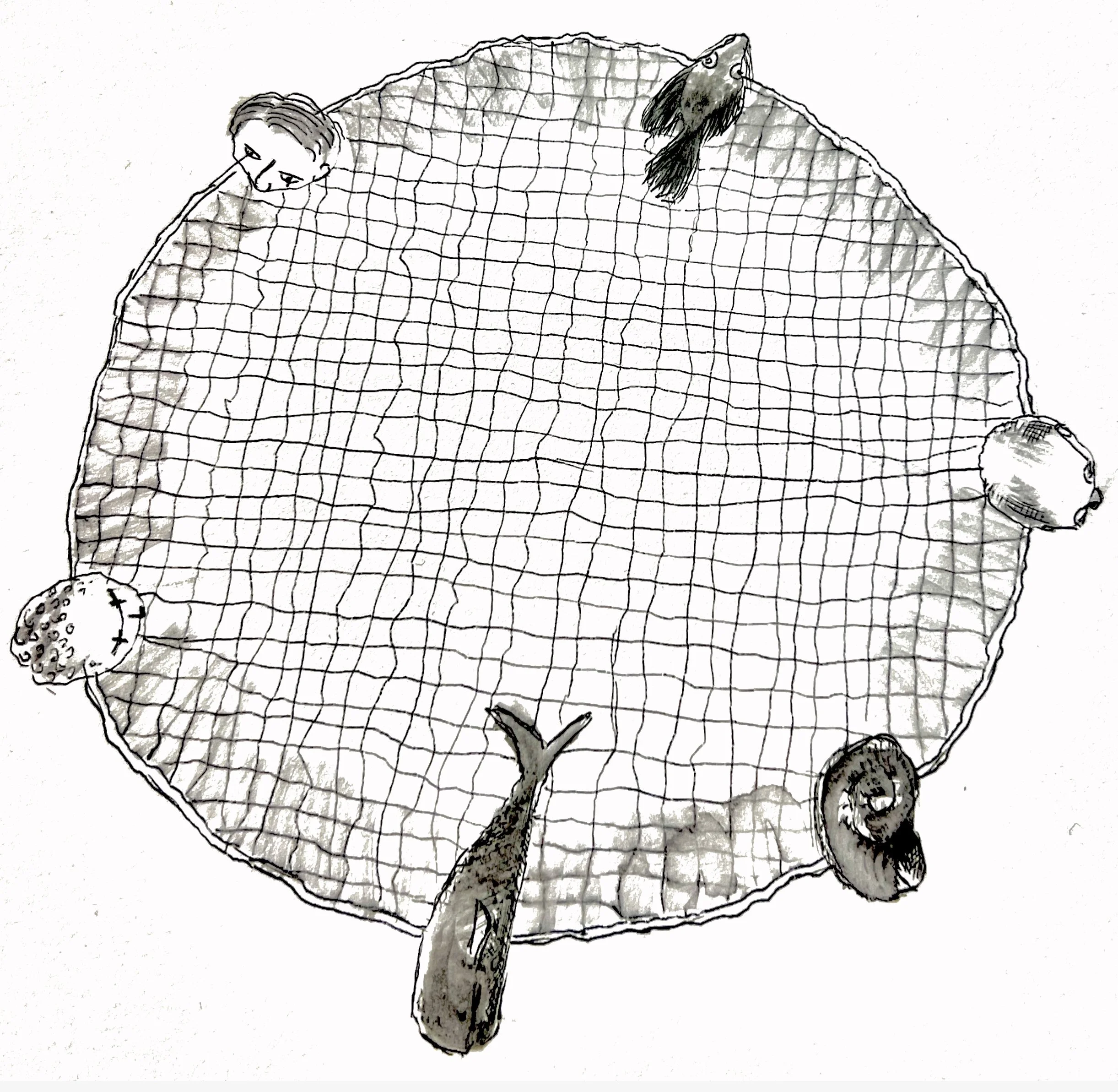 A black and white, sketch-like drawing of a single tree with a tall, slender trunk and a canopy of leaves with a grid pattern. There are three round fruits hanging from the tree, and there are some smaller detailed plants or rocks at the base of the tree.