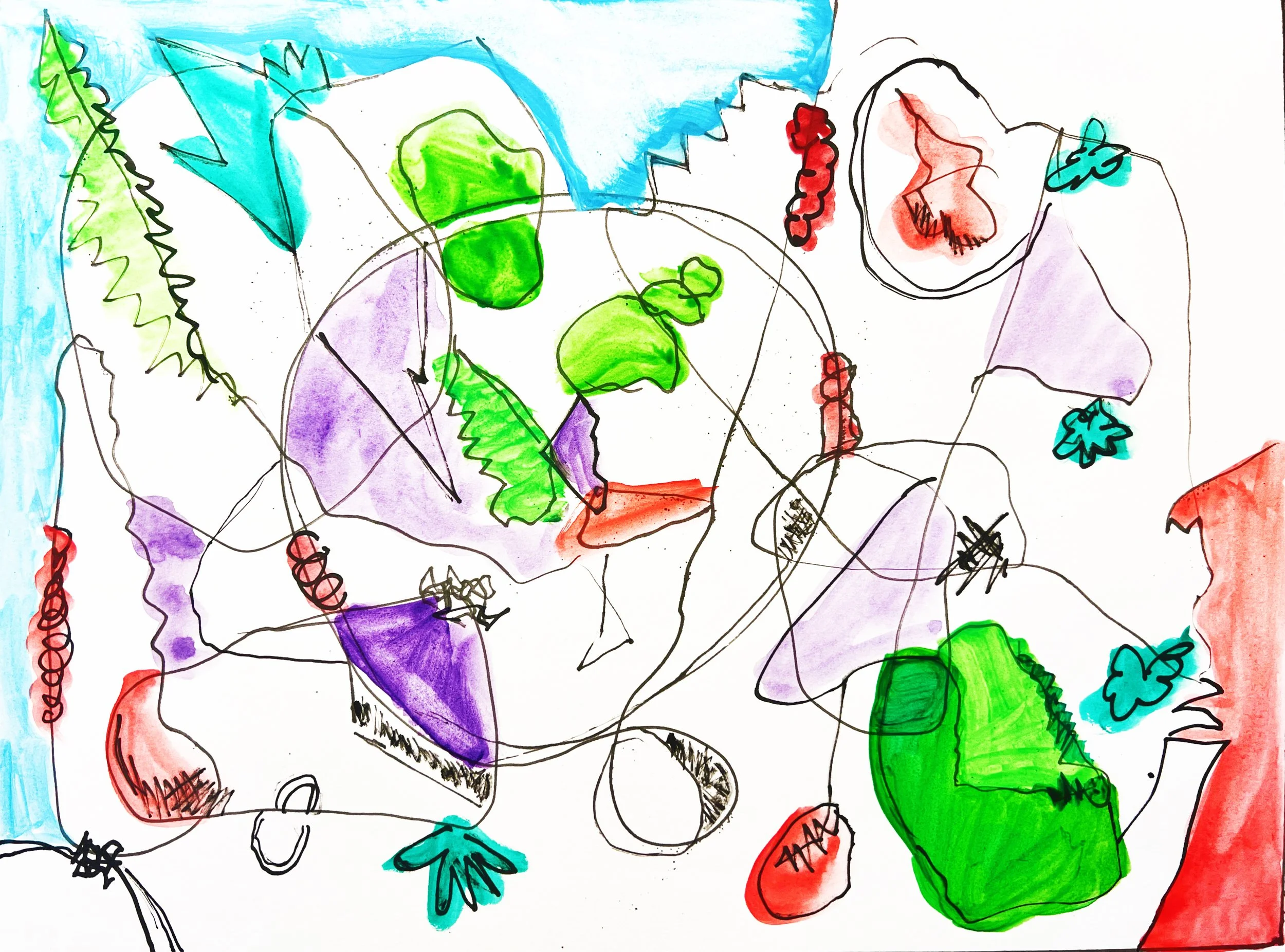 Child's abstract drawing of various plants, flowers, and leaves using colorful markers.