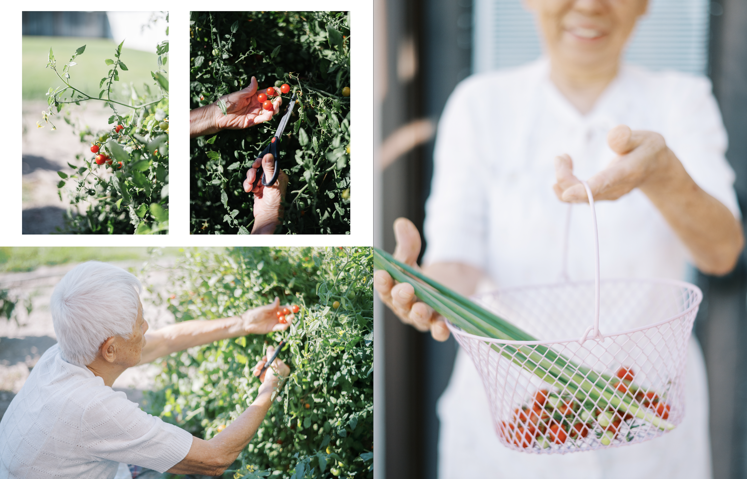 Screen Shot 2022-04-28 at 9.59.18 AM.png