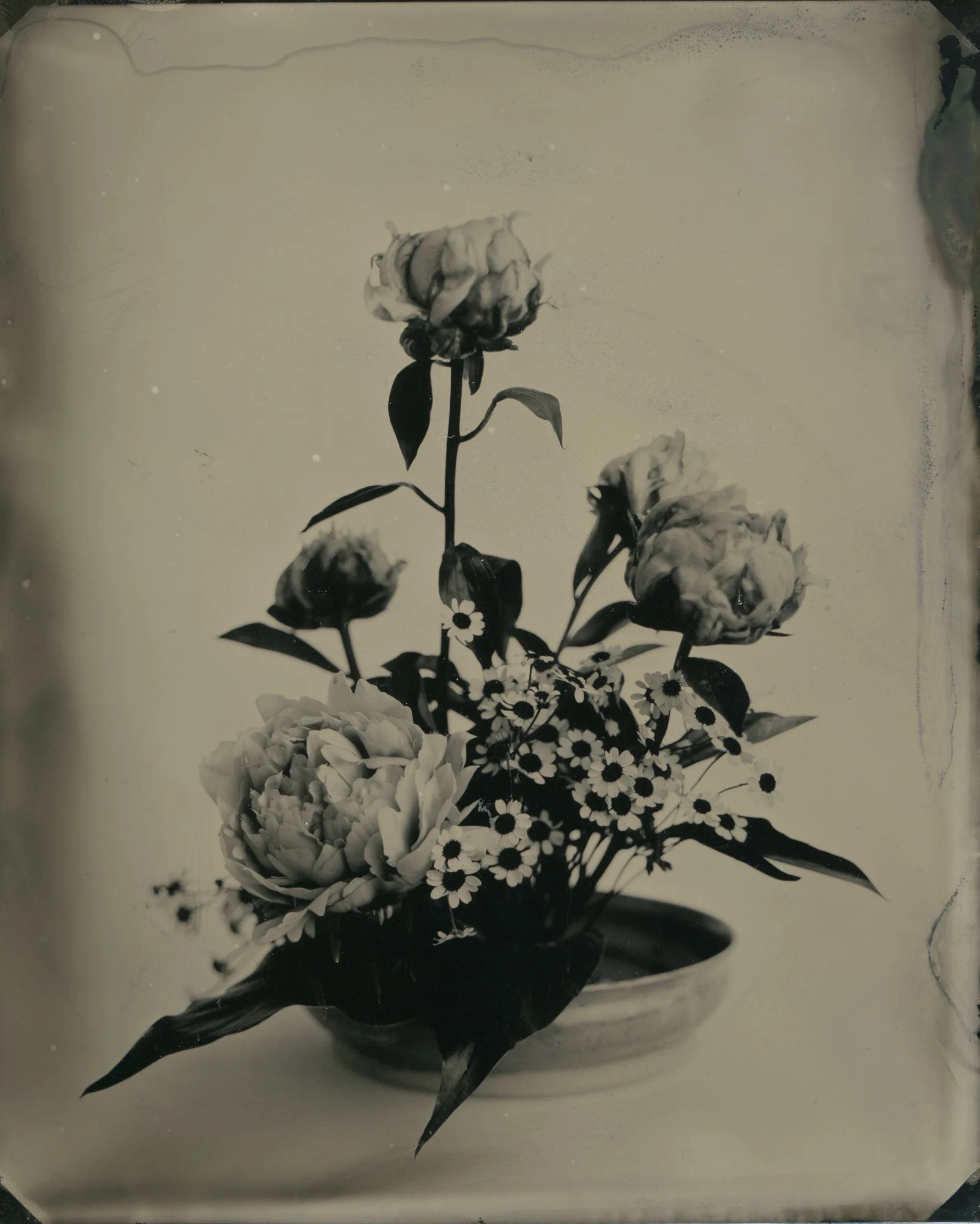 the taguchi legacy-12.jpg