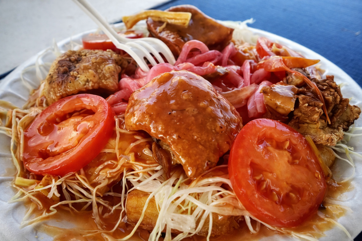 Close-up of a plate of Asian-style food with shredded vegetables, sliced tomatoes, fried chicken, and meat with sauce.