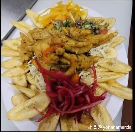 A plate of fried plantains garnished with pickled red onions, and topped with seasoned grilled chicken and vegetables, served with shredded vegetables on the side.