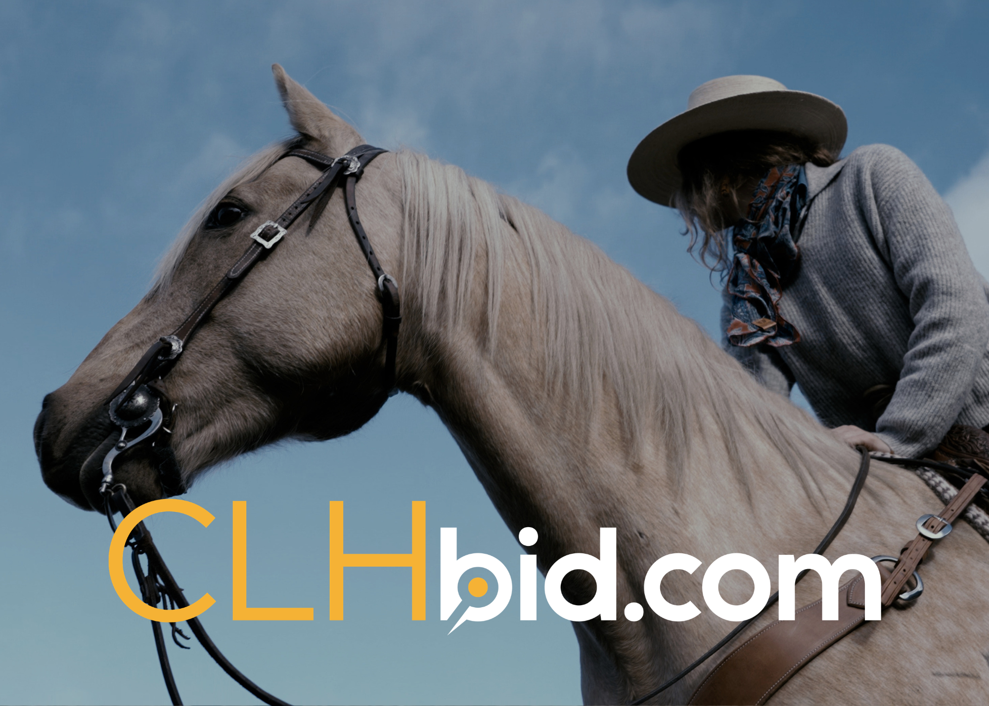 Website Covers (3).png