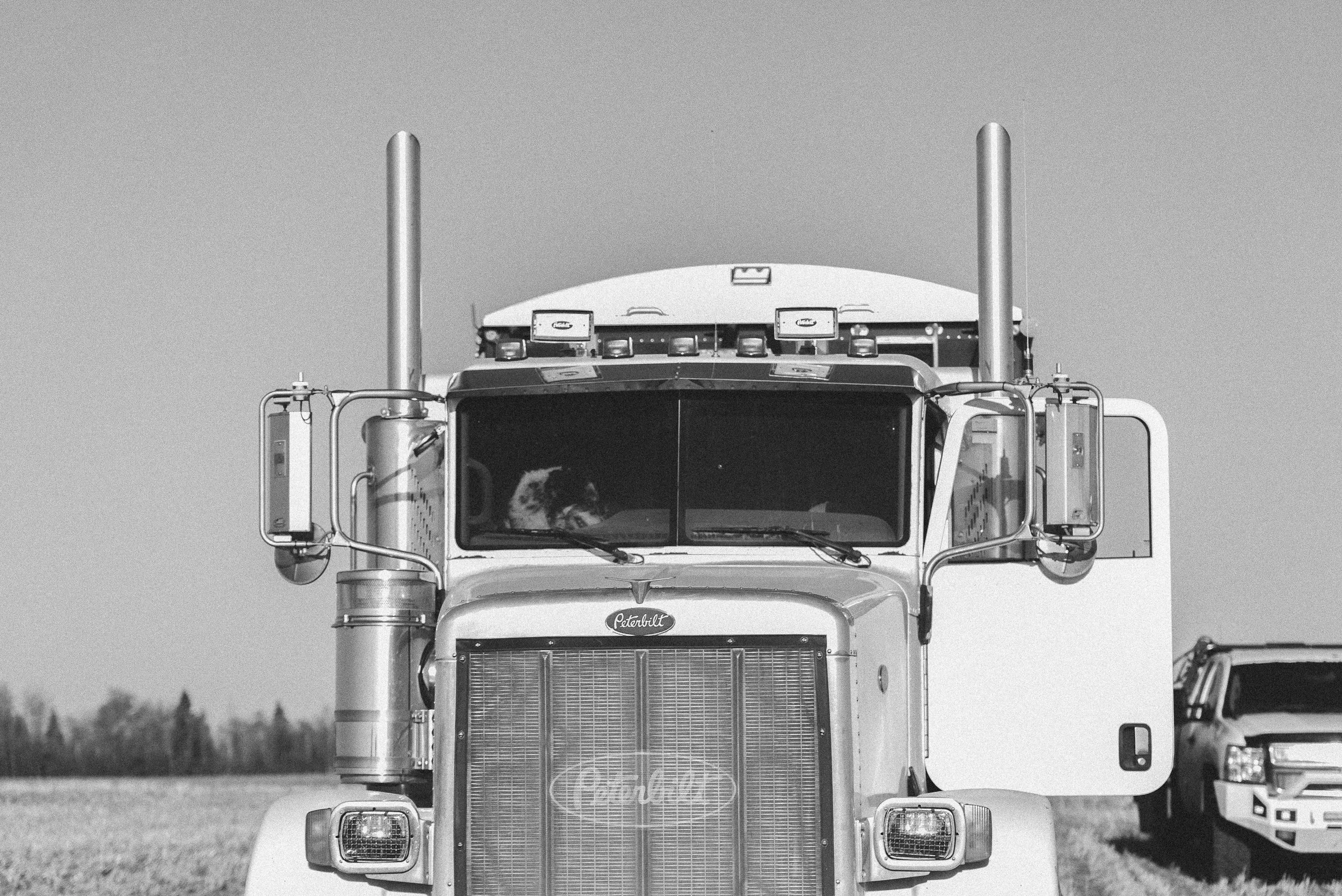 A black and white photo of a semi-truck with a cat visible through the front windshield, and a car parked to the right in a rural setting.