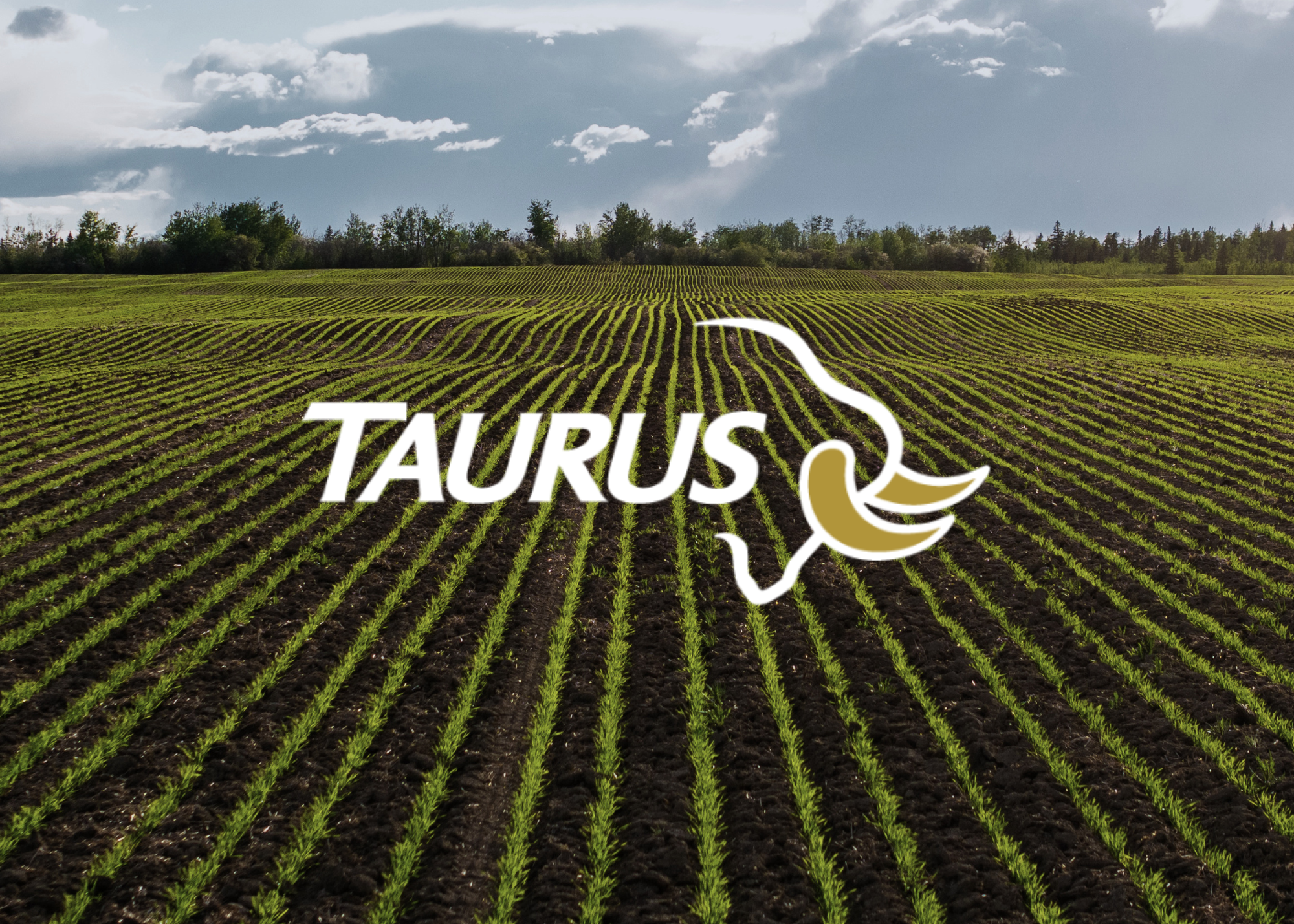 Website Covers (1).png