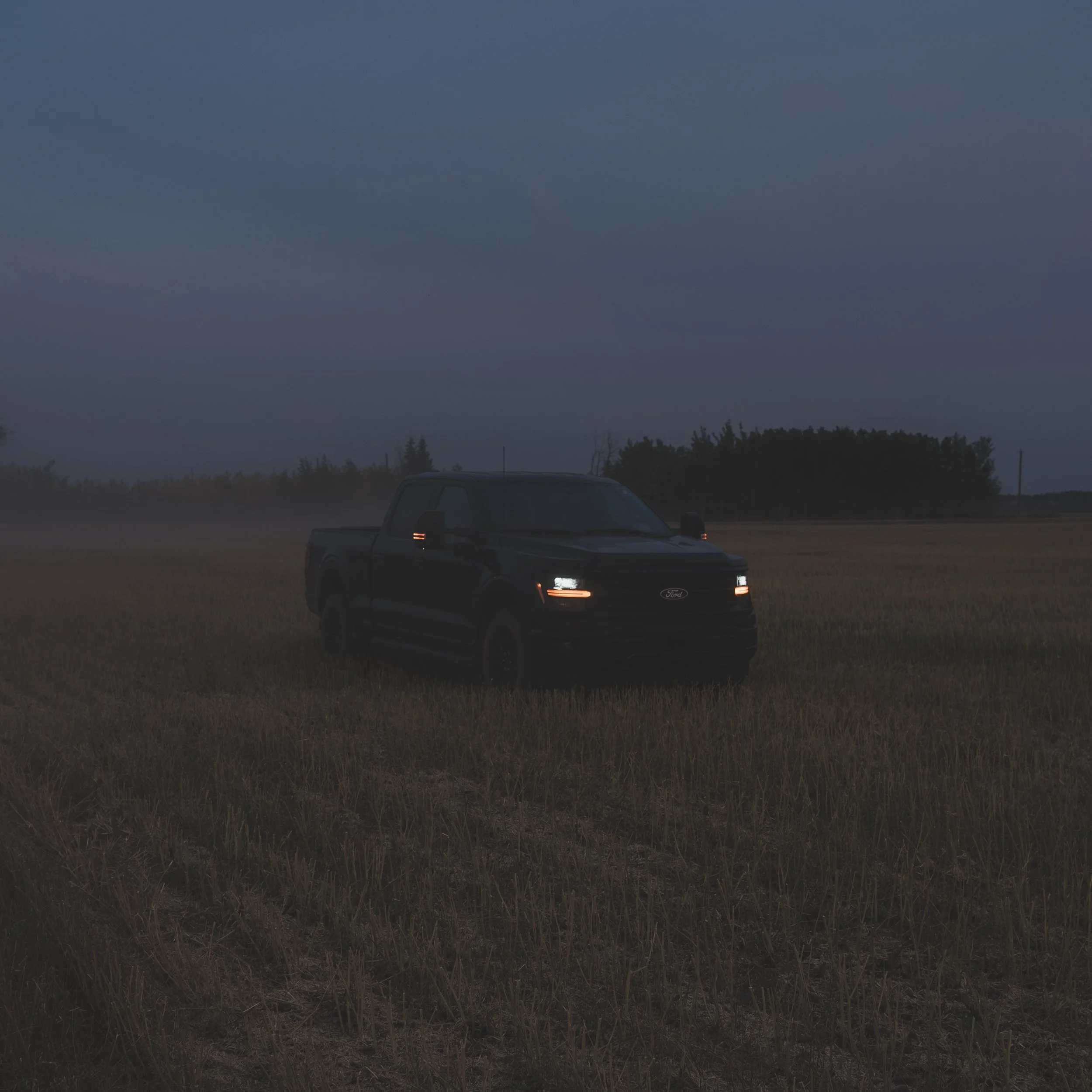 A black Ford pickup truck parked in a field during dusk or dawn with a cloudy sky and trees in the background.