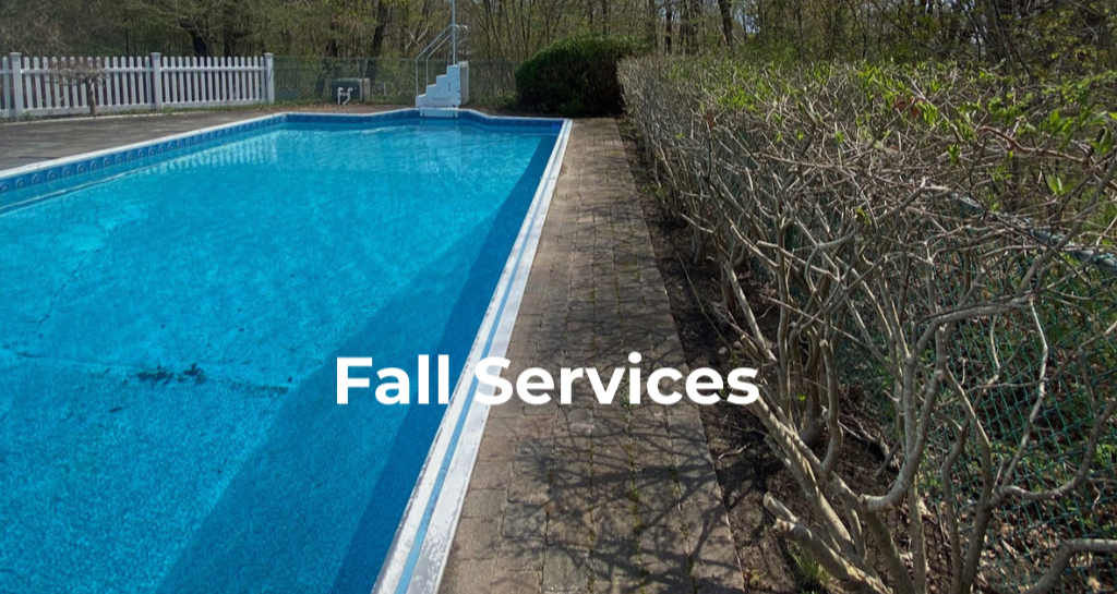 Summer%2BServices%2B%252819%2529.png