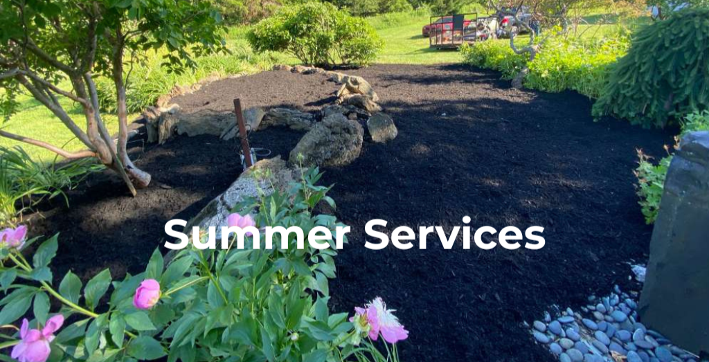 Summer%2BServices%2B%252817%2529.png