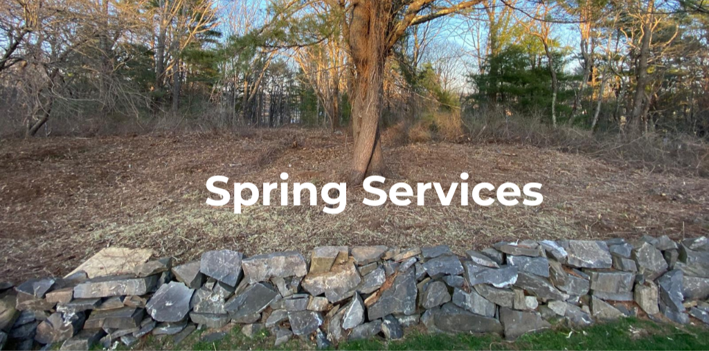 Summer+Services+%2824%29.png