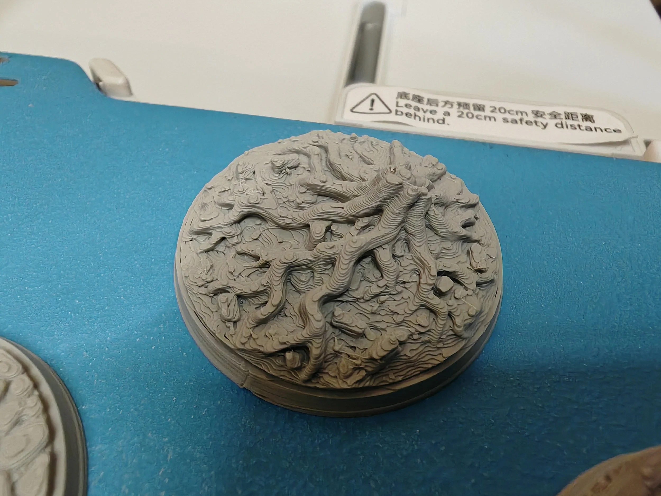 IMG_20260310_102635 - Copy.jpg