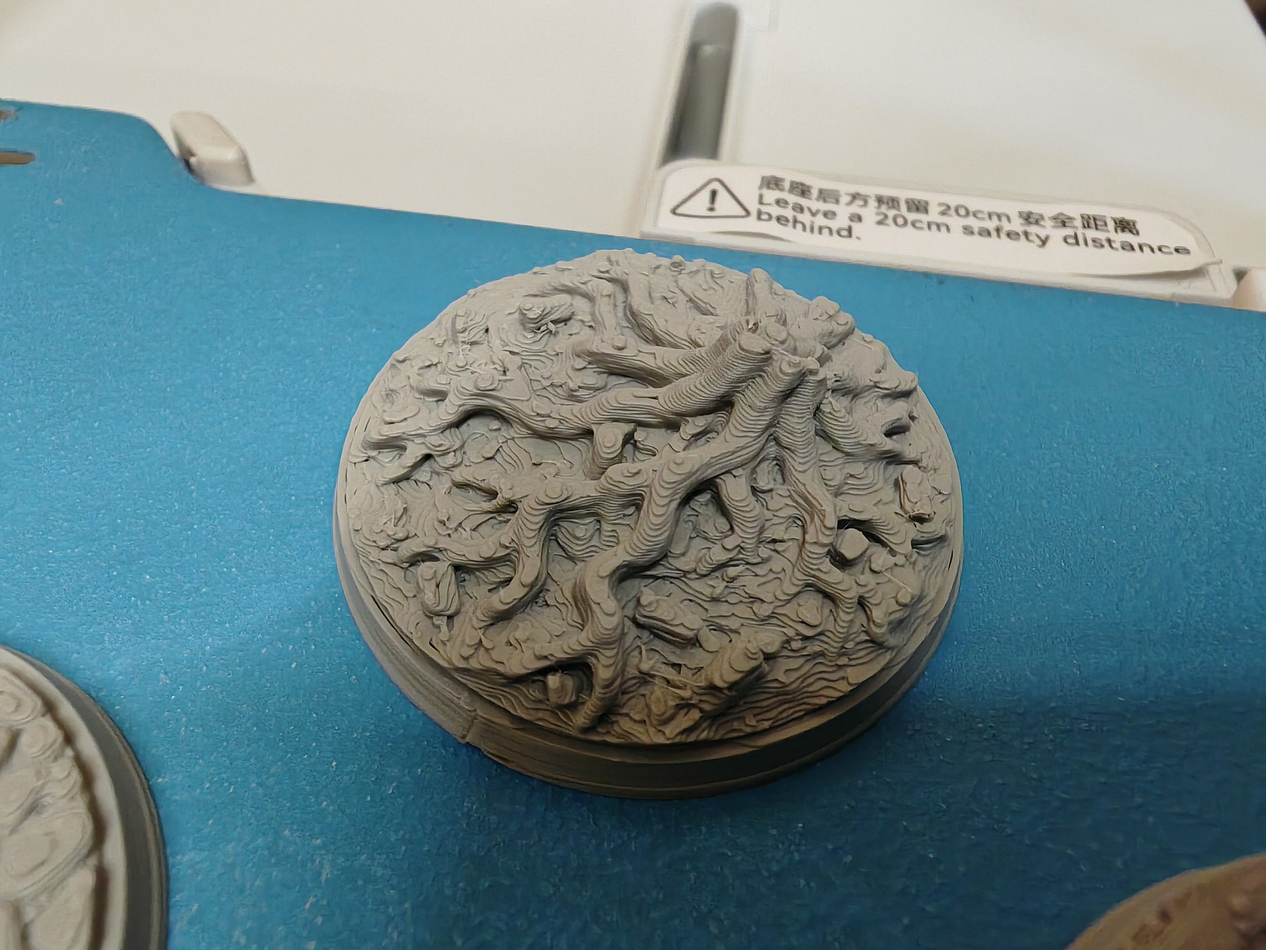 IMG_20260310_102635 - Copy.jpg