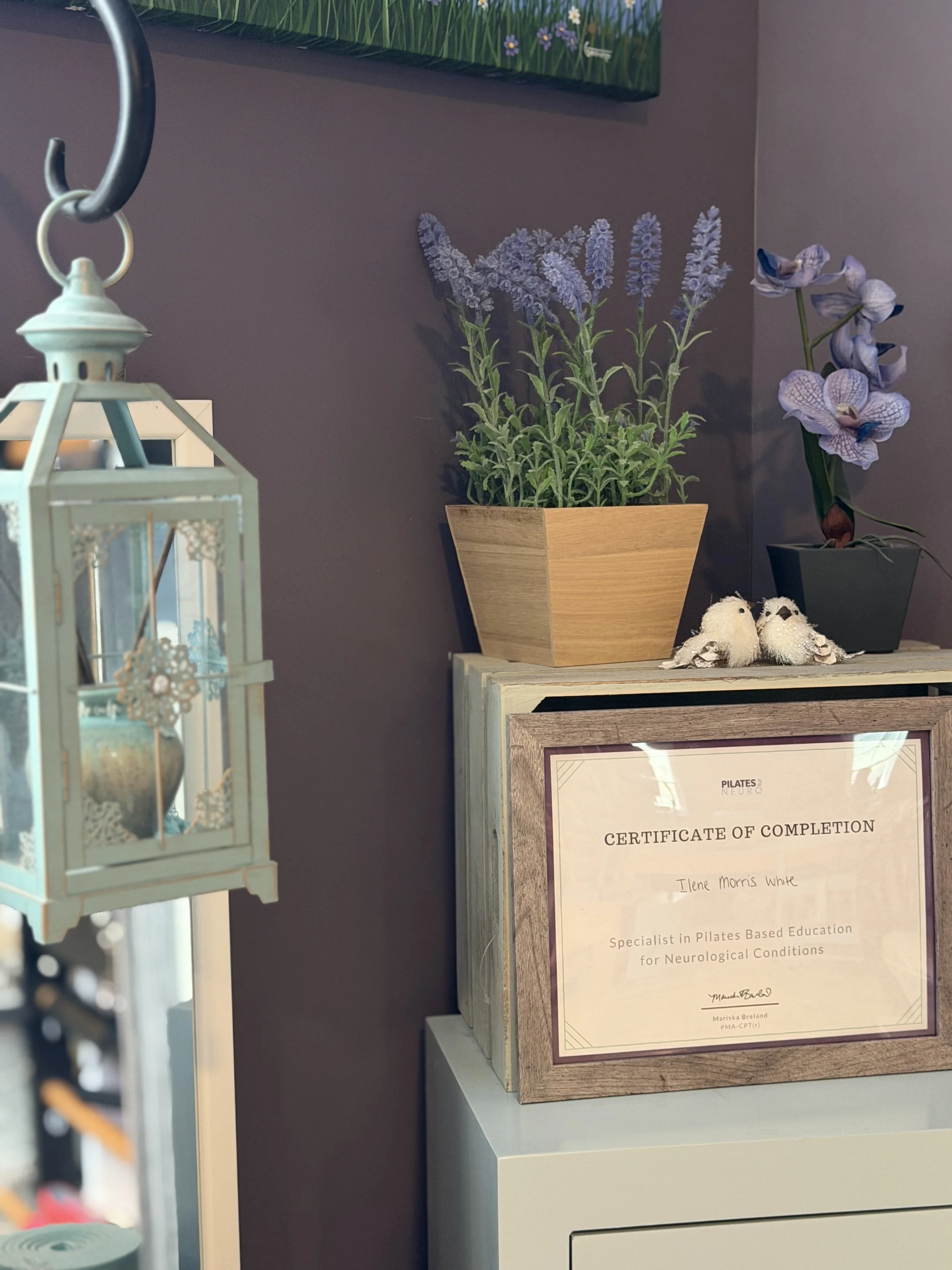 A framed certificate of completion displayed on a small white table, with purple potted flowers and decorative birds on top, against a purple wall.