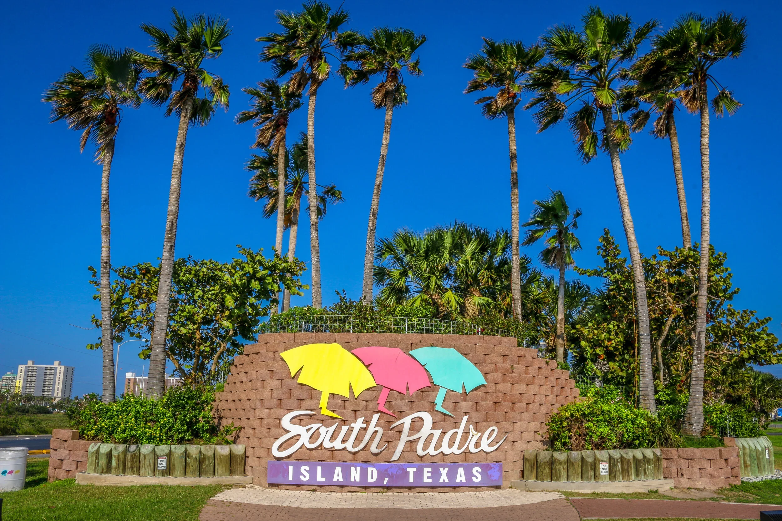 South Padre Island, Texas sign with pink, yellow, and blue umbrellas, surrounded by palm trees and greenery under a clear blue sky.